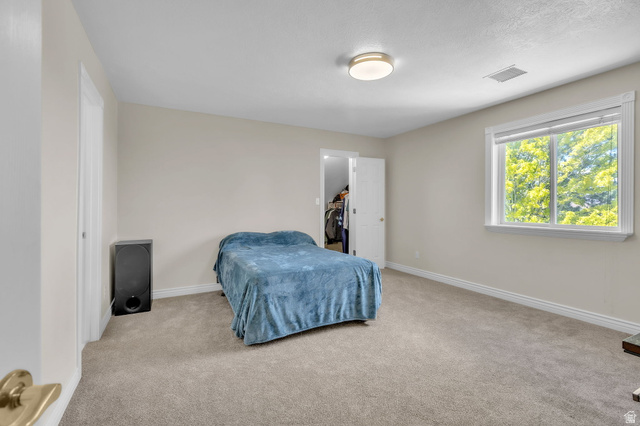 209 High Sierra Drive South Elk Ridge, UT 84651 - Photo 67 of 112