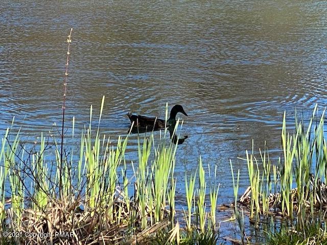 154 Skyview Circle Sciota, PA 18354 - Photo 114 of 114 Lake