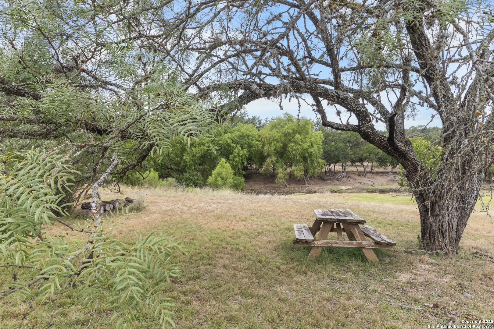 369 Deer Valley Bandera, TX 78003 - Photo 5 of 34 a view of a yard with a tree