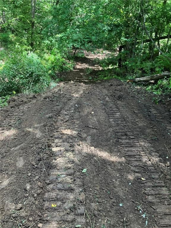 N3953-201 Bear Pen Road Arkansaw, WI 54721 - Photo 38 of 43