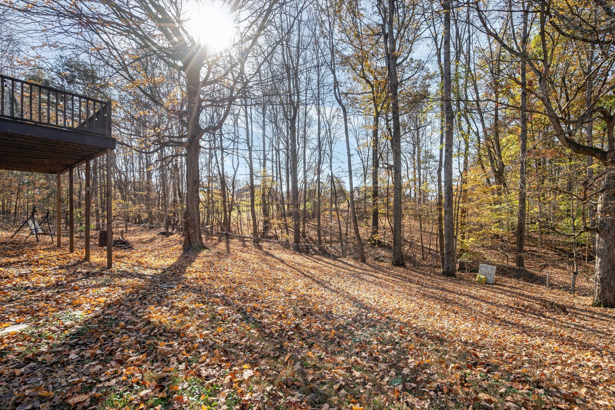 5221 Grand View Lane Pleasant View, TN 37146 - Photo 33 of 37 a view of backyard with wooden fence and large trees