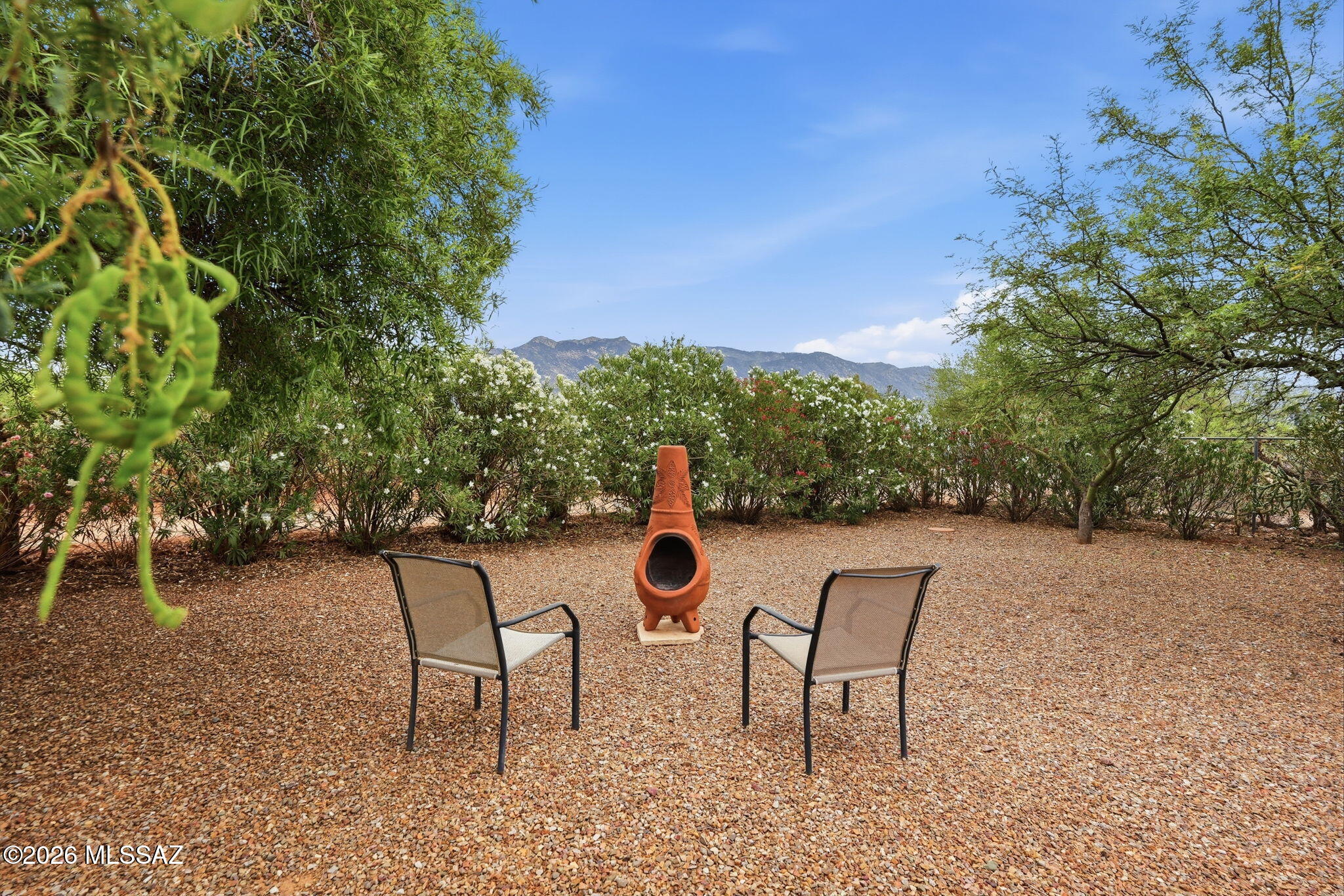 4530 East Edwin Road Tucson, AZ 85739 - Photo 1 of 44 051_ListerPros