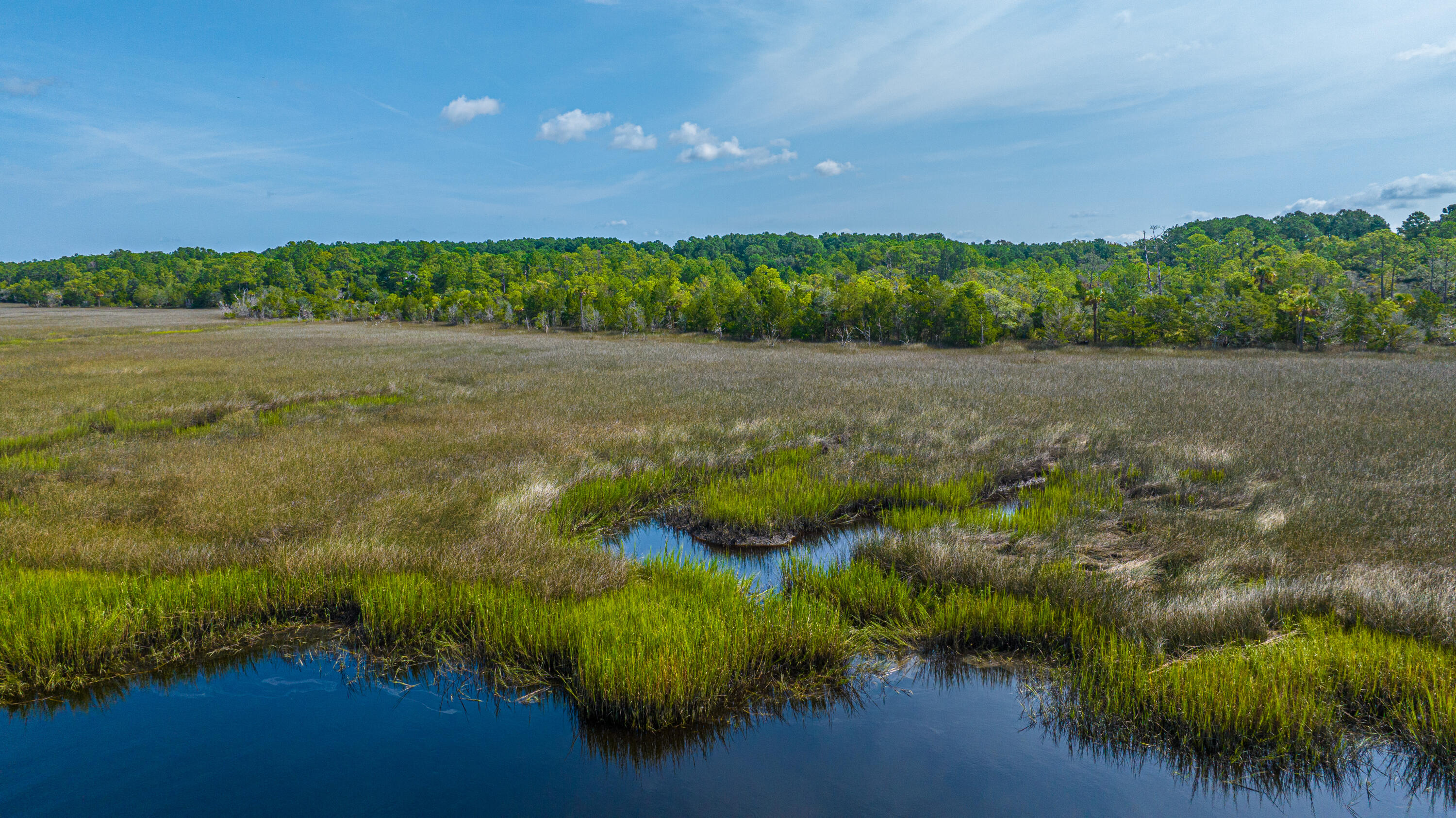 3 Guerins Bridge Road Awendaw, SC 29429 - Photo 1 of 10 Guerins Bridge Lots 1-3