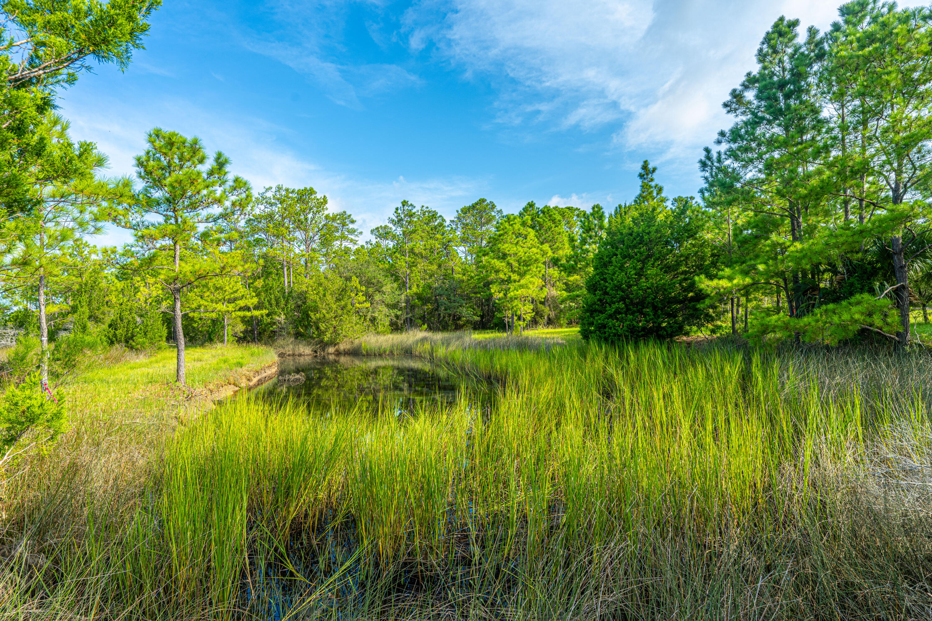 3 Guerins Bridge Road Awendaw, SC 29429 - Photo 5 of 10 Guerins Bridge Lots 1-3