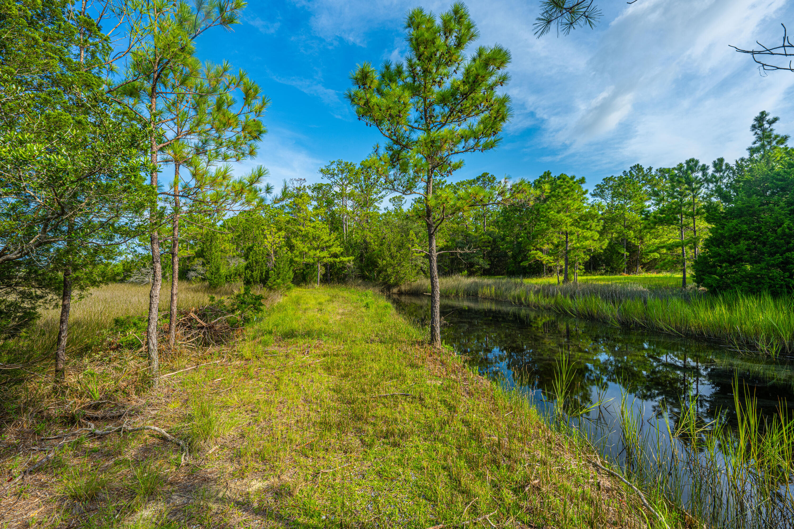 3 Guerins Bridge Road Awendaw, SC 29429 - Photo 6 of 10 Guerins Bridge Lots 1-3