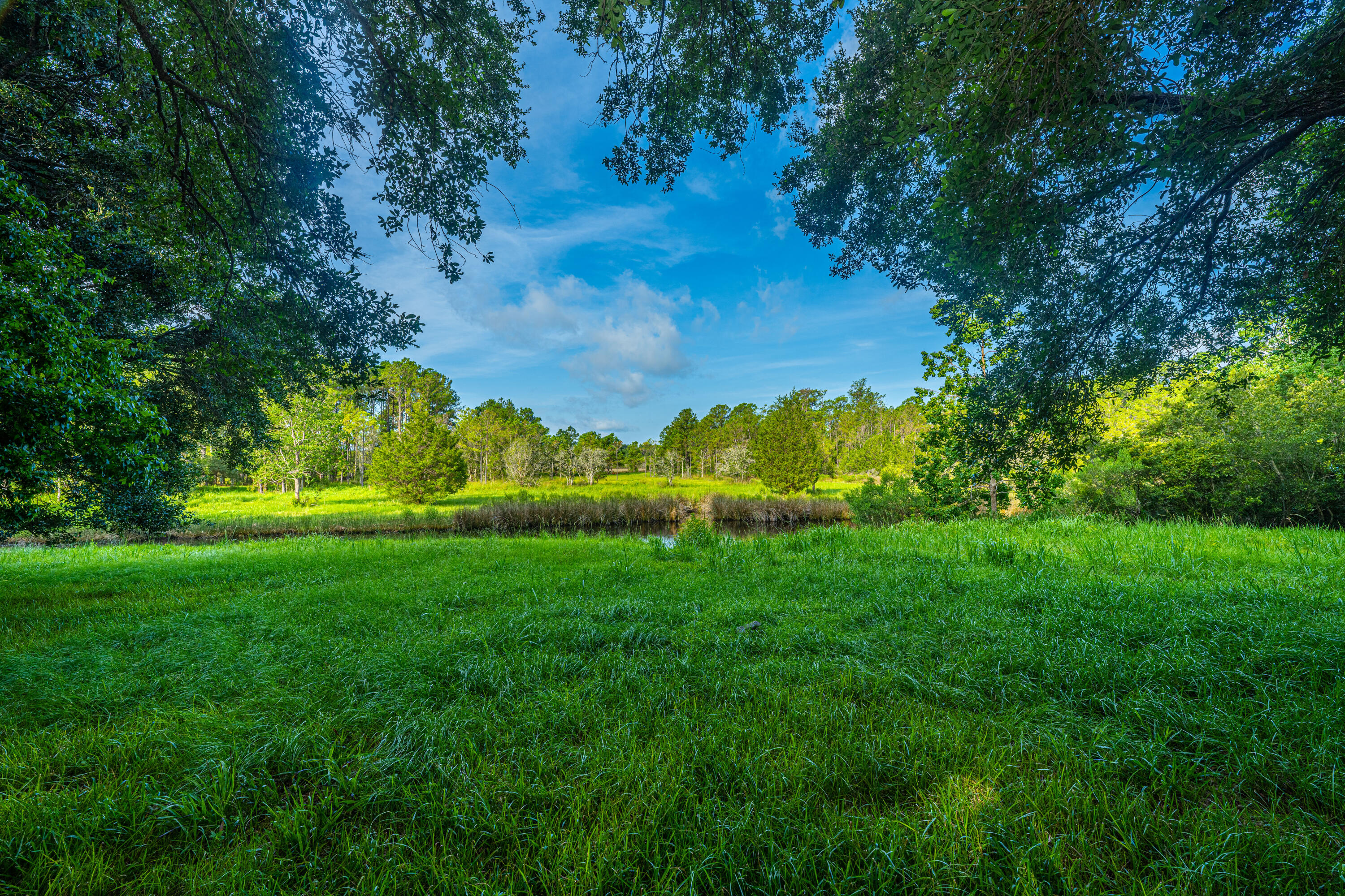 3 Guerins Bridge Road Awendaw, SC 29429 - Photo 8 of 10 Guerins Bridge Lots 1-3