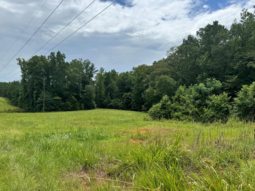 180.14 Johnson Mill Road Hamilton, GA 31811 - Photo 10 of 13 Gallery Image 10