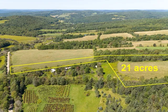 $150,000 | Lot 11 Warren Road, Treadwell, NY 13846