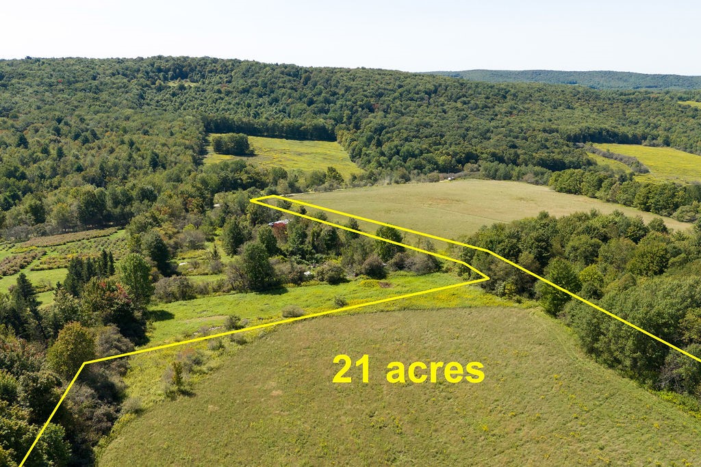 Lot 11 Warren Road Treadwell, NY 13846 - Photo 9 of 10