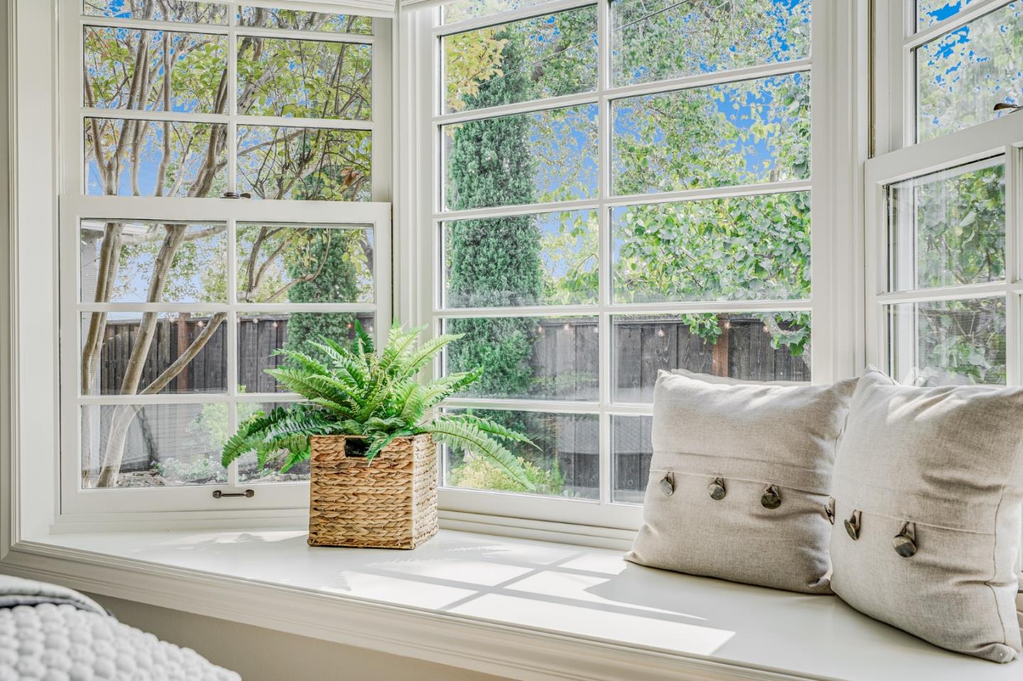 100 Chestnut Street San Carlos, CA 94070 - Photo 29 of 45 a vase of flowers sitting next to a window