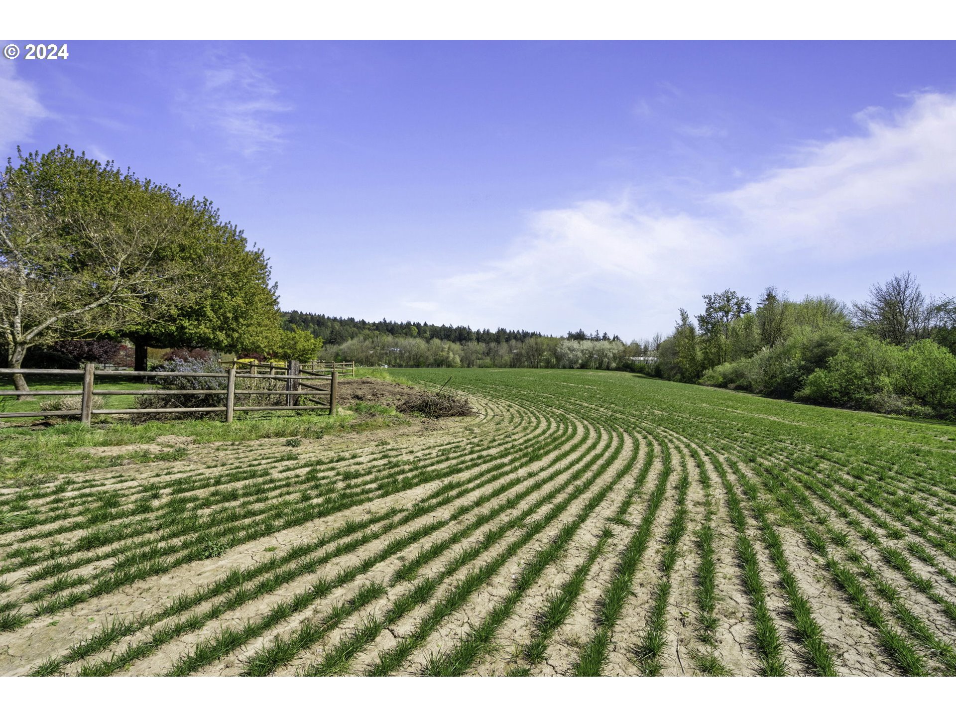 5370 Northeast Duniway Road Dayton, OR 97114 - Photo 46 of 48 Acreage