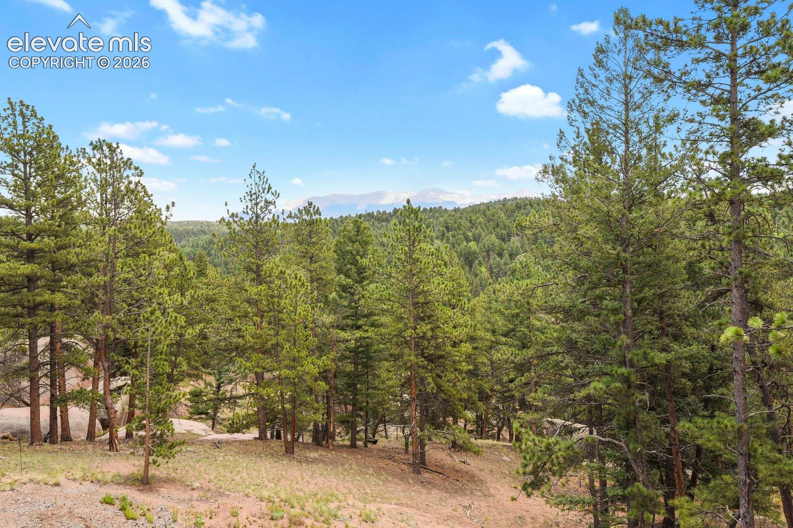 934 Pinewood Road Florissant, CO 80816 - Photo 38 of 50