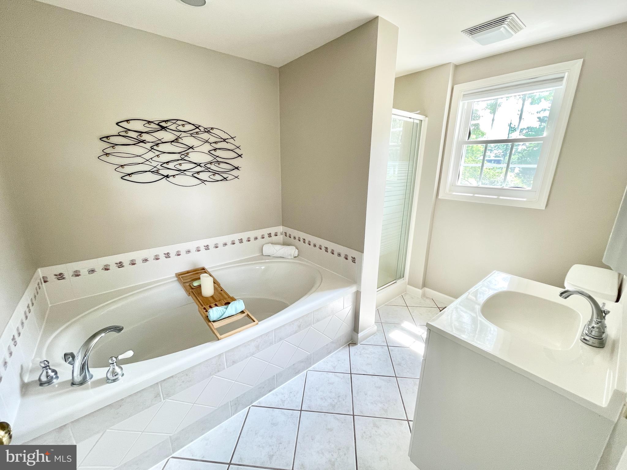 308 Apple Tree Road Montross, VA 22520 - Photo 28 of 55 a bath tub sitting next to a bathroom sink