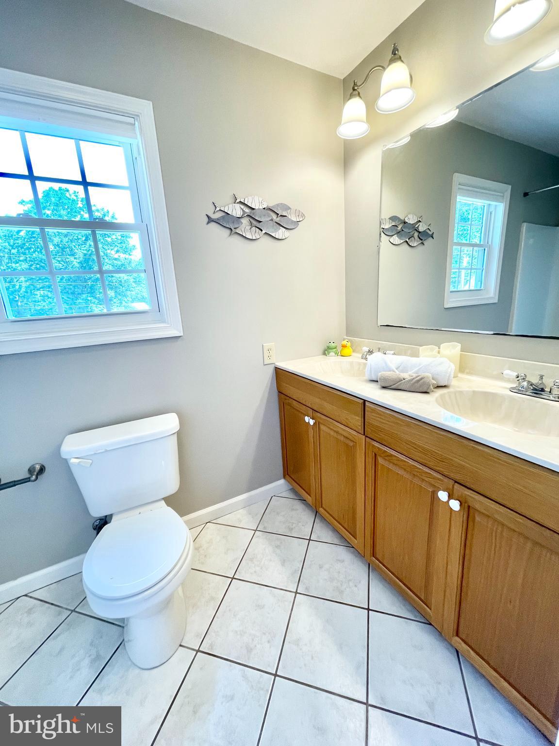 308 Apple Tree Road Montross, VA 22520 - Photo 33 of 55 a bathroom with a toilet sink and mirror