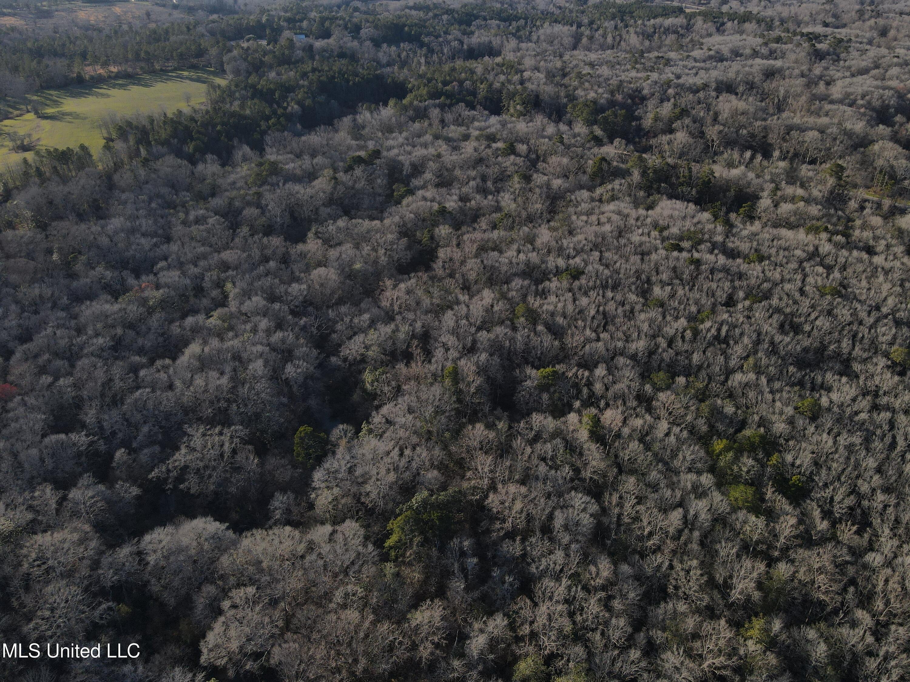 63 Clem Road Mount Olive, MS 39119 - Photo 1 of 56 Aerial View