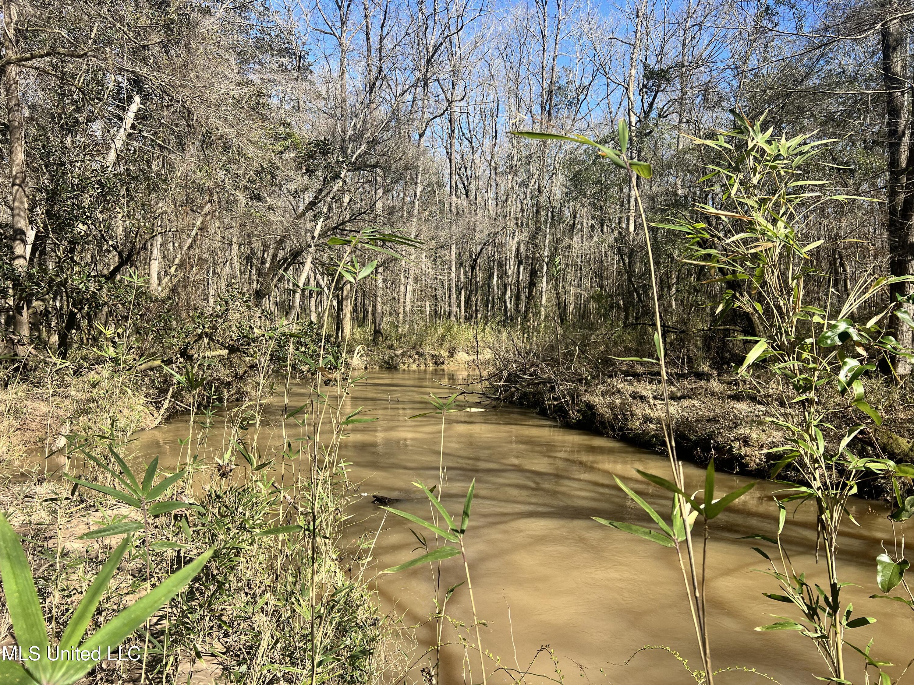 63 Clem Road Mount Olive, MS 39119 - Photo 11 of 56 Photo Feb 17 2025, 1 19 51 PM