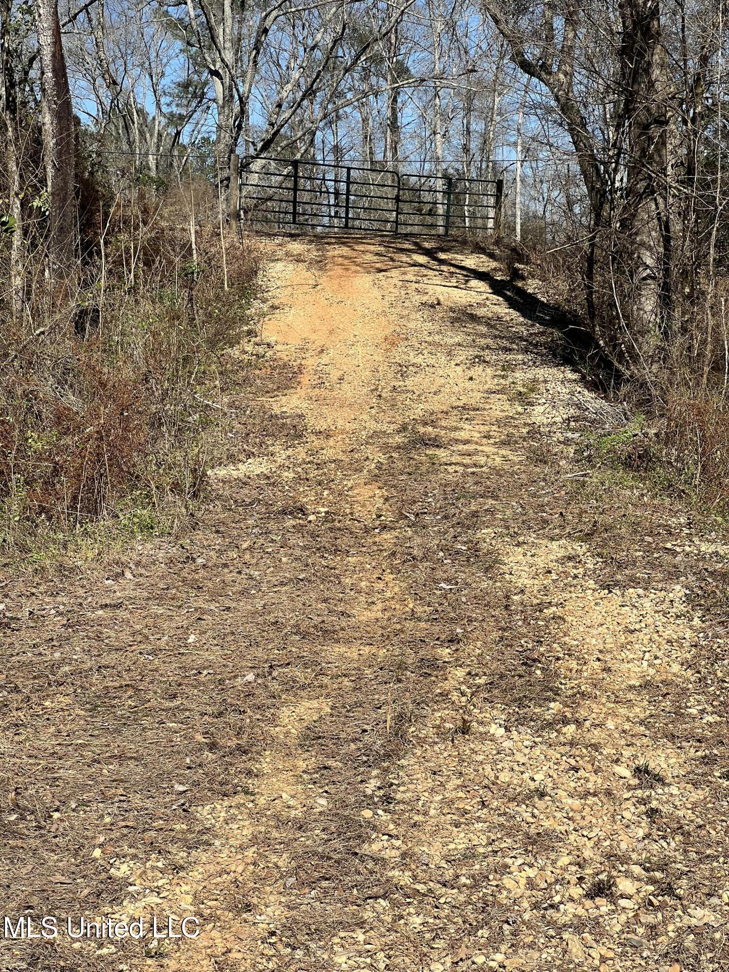 63 Clem Road Mount Olive, MS 39119 - Photo 13 of 56 Photo Feb 17 2025, 1 28 13 PM