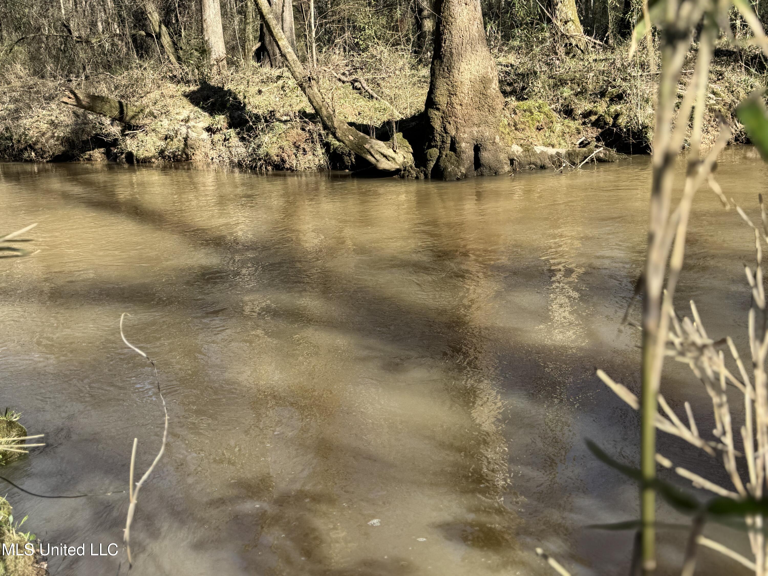 63 Clem Road Mount Olive, MS 39119 - Photo 15 of 56 Photo Feb 17 2025, 3 15 47 PM