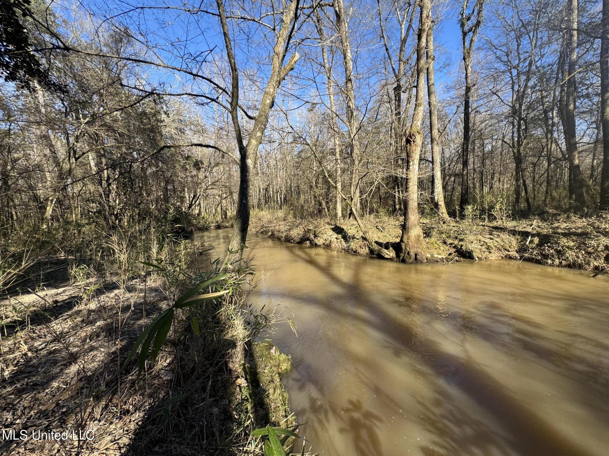 63 Clem Road Mount Olive, MS 39119 - Photo 16 of 56 Photo Feb 17 2025, 3 15 58 PM