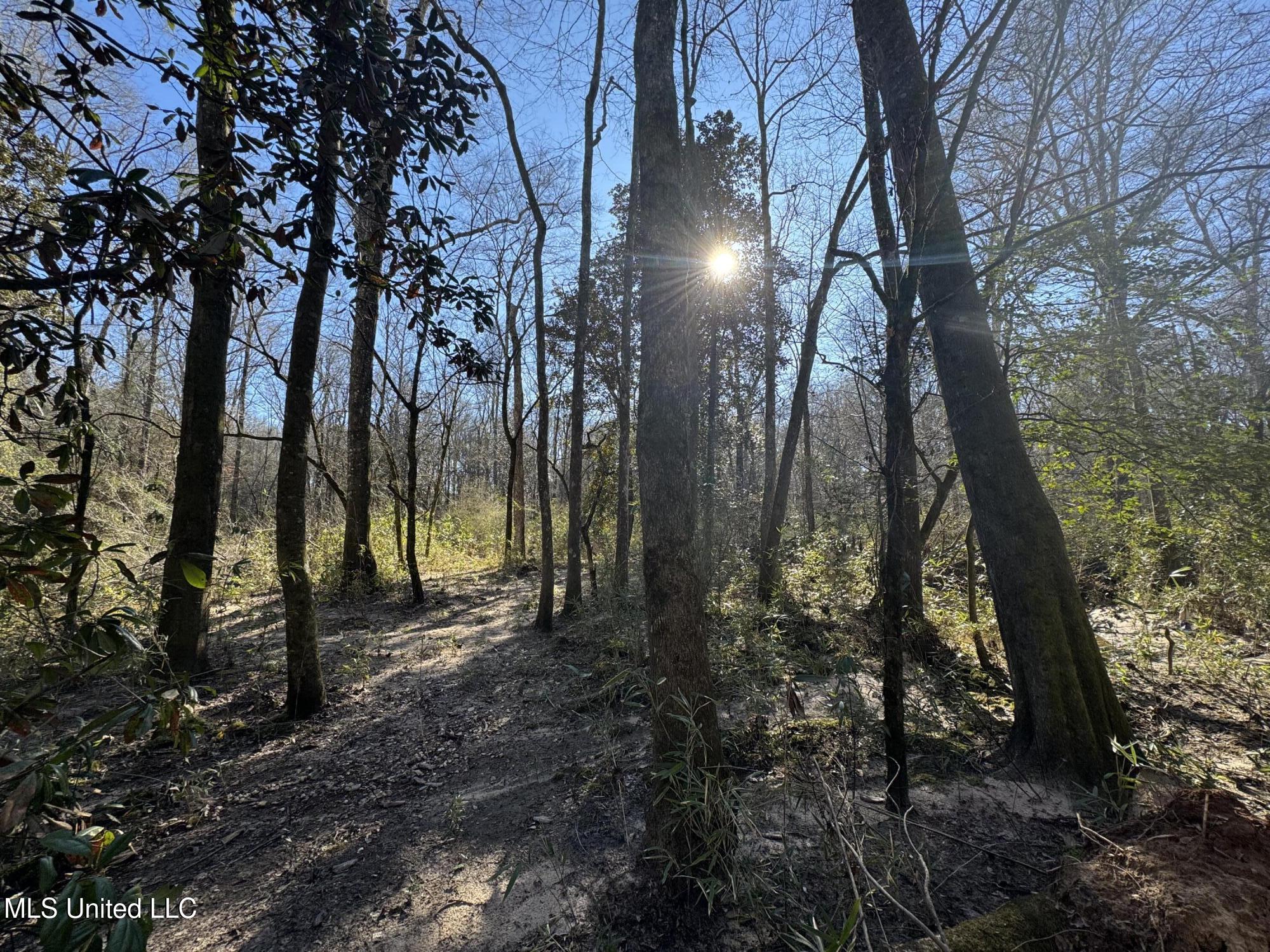 63 Clem Road Mount Olive, MS 39119 - Photo 17 of 56 Photo Feb 17 2025, 3 16 25 PM