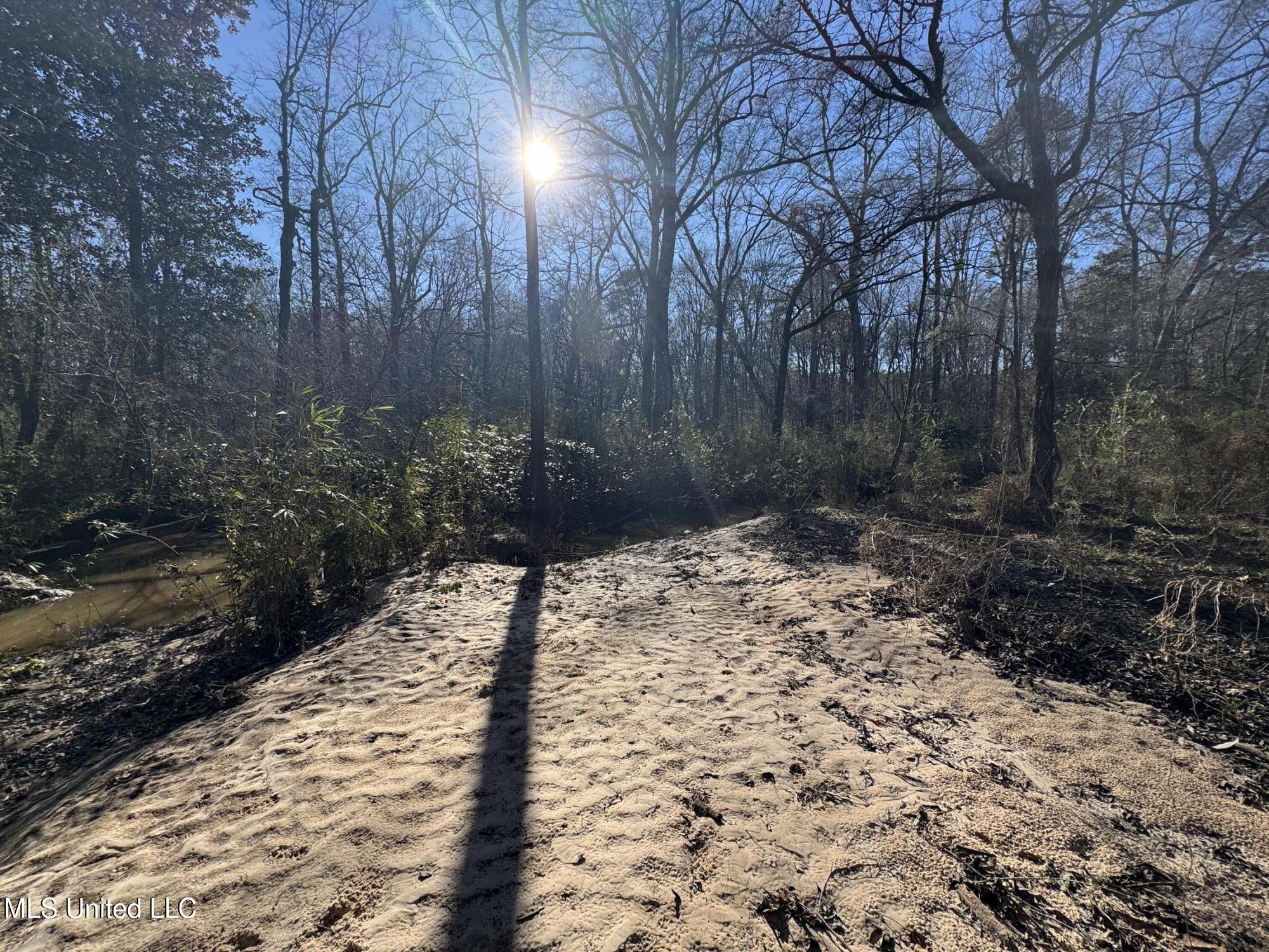 63 Clem Road Mount Olive, MS 39119 - Photo 18 of 56 Photo Feb 17 2025, 3 16 41 PM