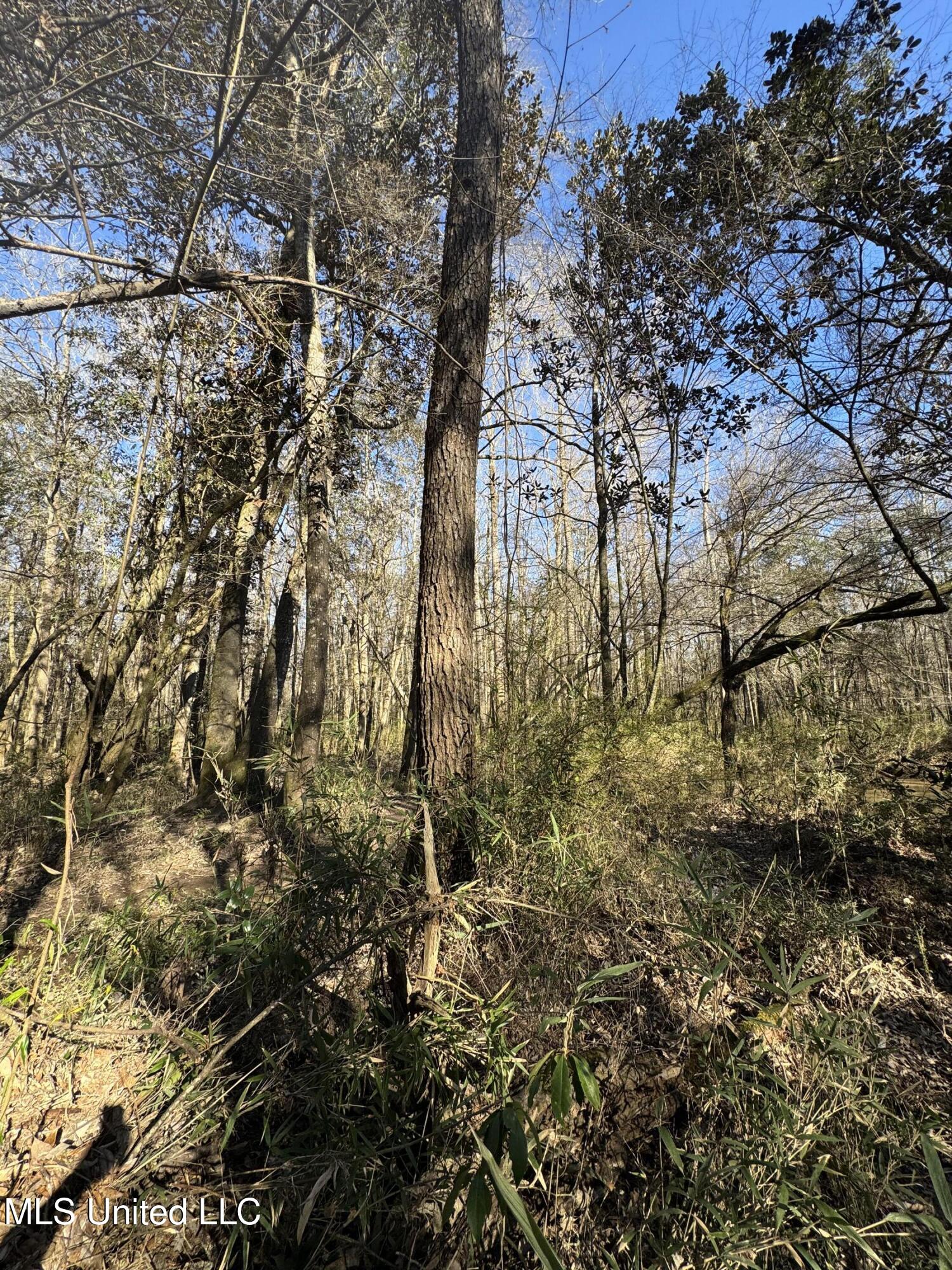 63 Clem Road Mount Olive, MS 39119 - Photo 19 of 56 Photo Feb 17 2025, 3 17 46 PM