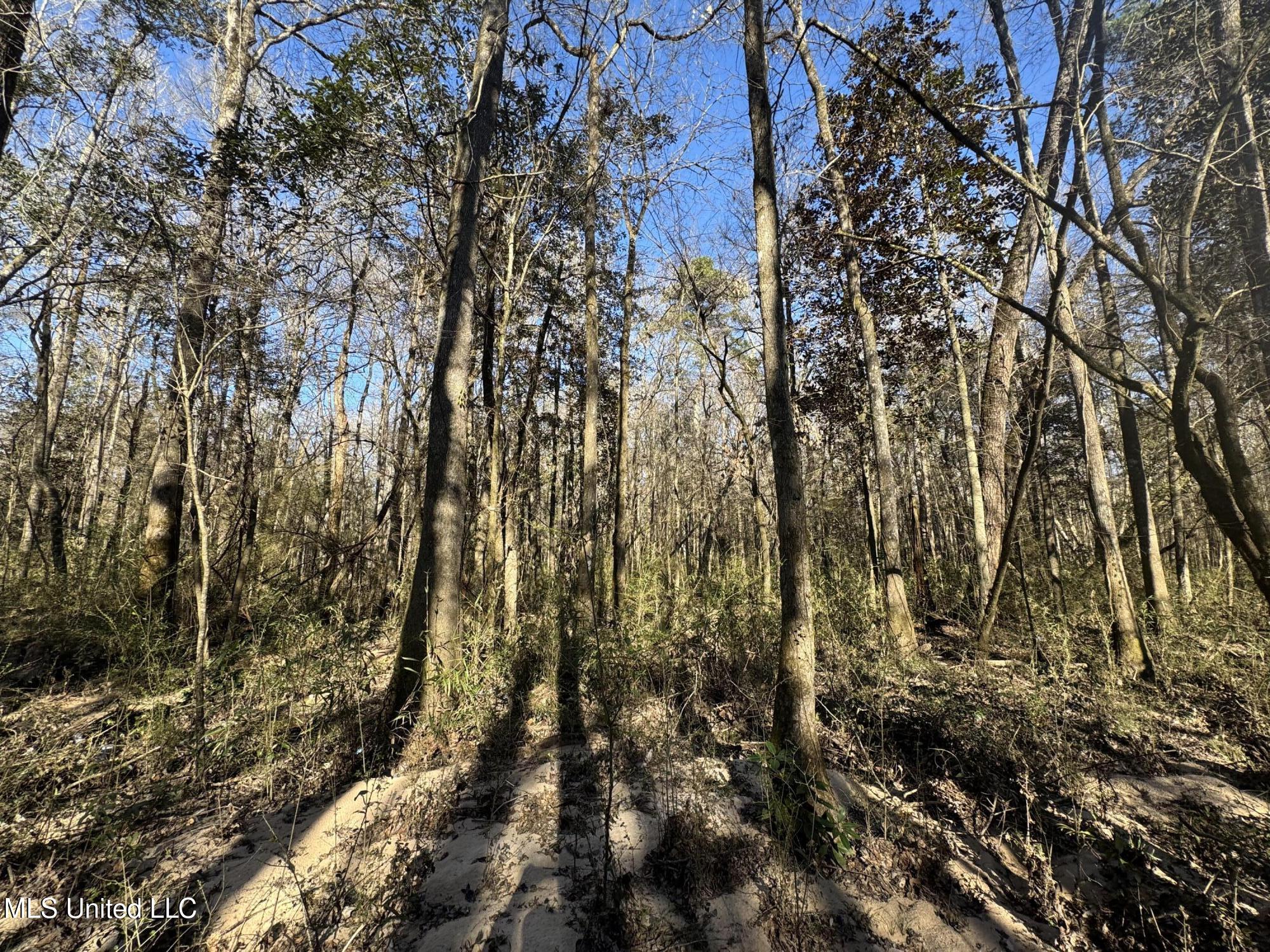 63 Clem Road Mount Olive, MS 39119 - Photo 20 of 56 Photo Feb 17 2025, 3 18 34 PM