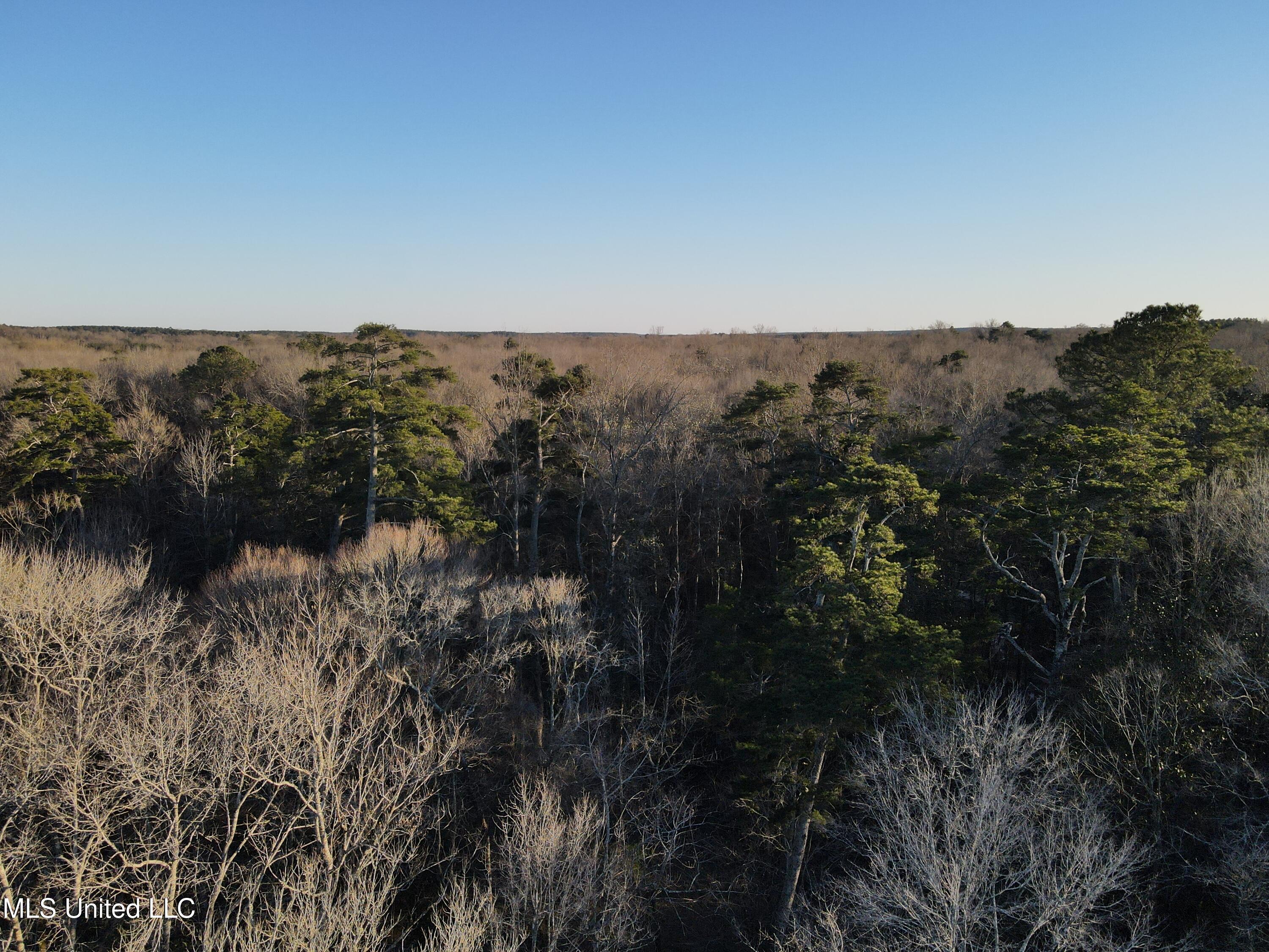63 Clem Road Mount Olive, MS 39119 - Photo 2 of 56 Cover 1