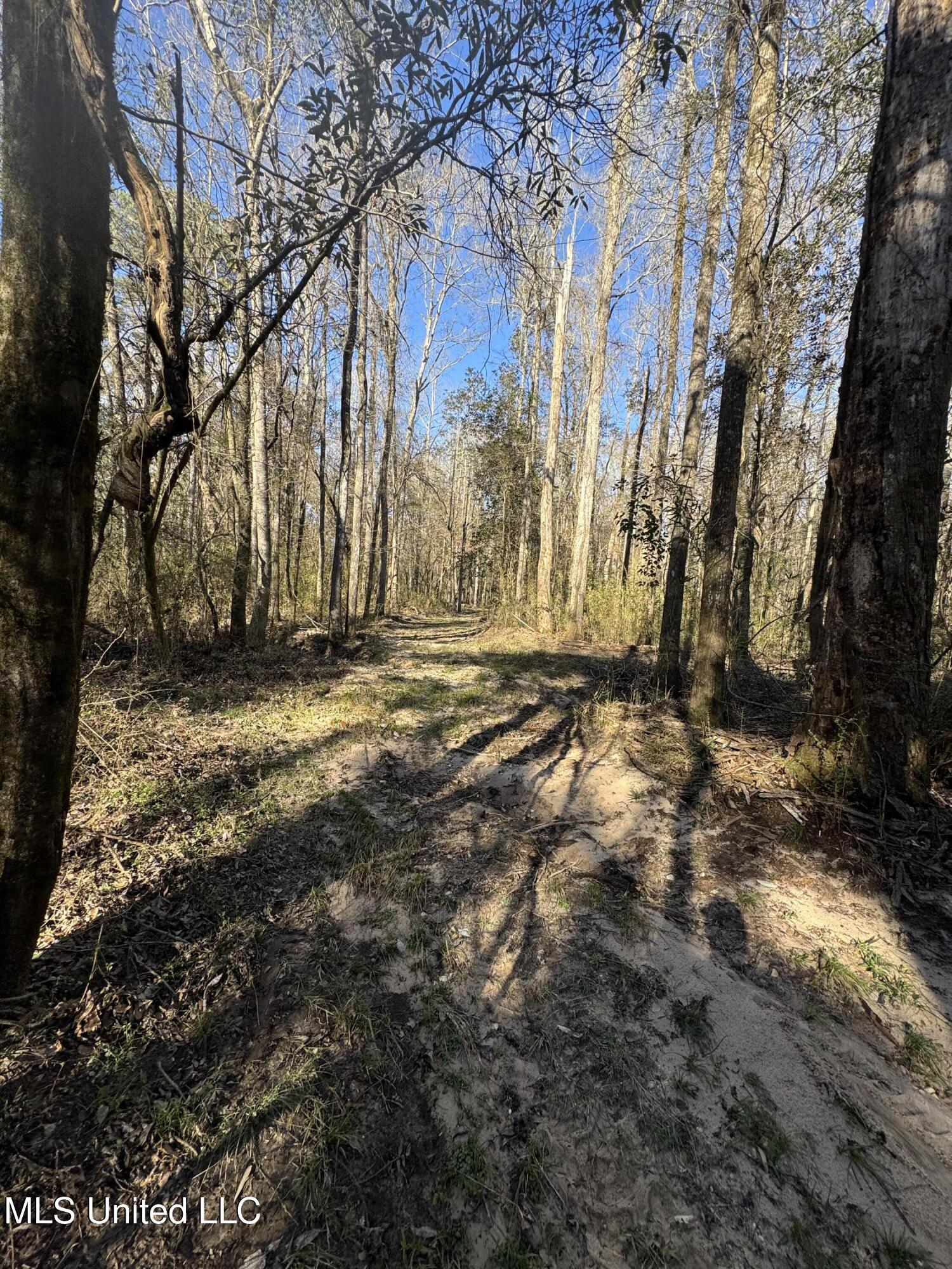 63 Clem Road Mount Olive, MS 39119 - Photo 21 of 56 Photo Feb 17 2025, 3 18 58 PM