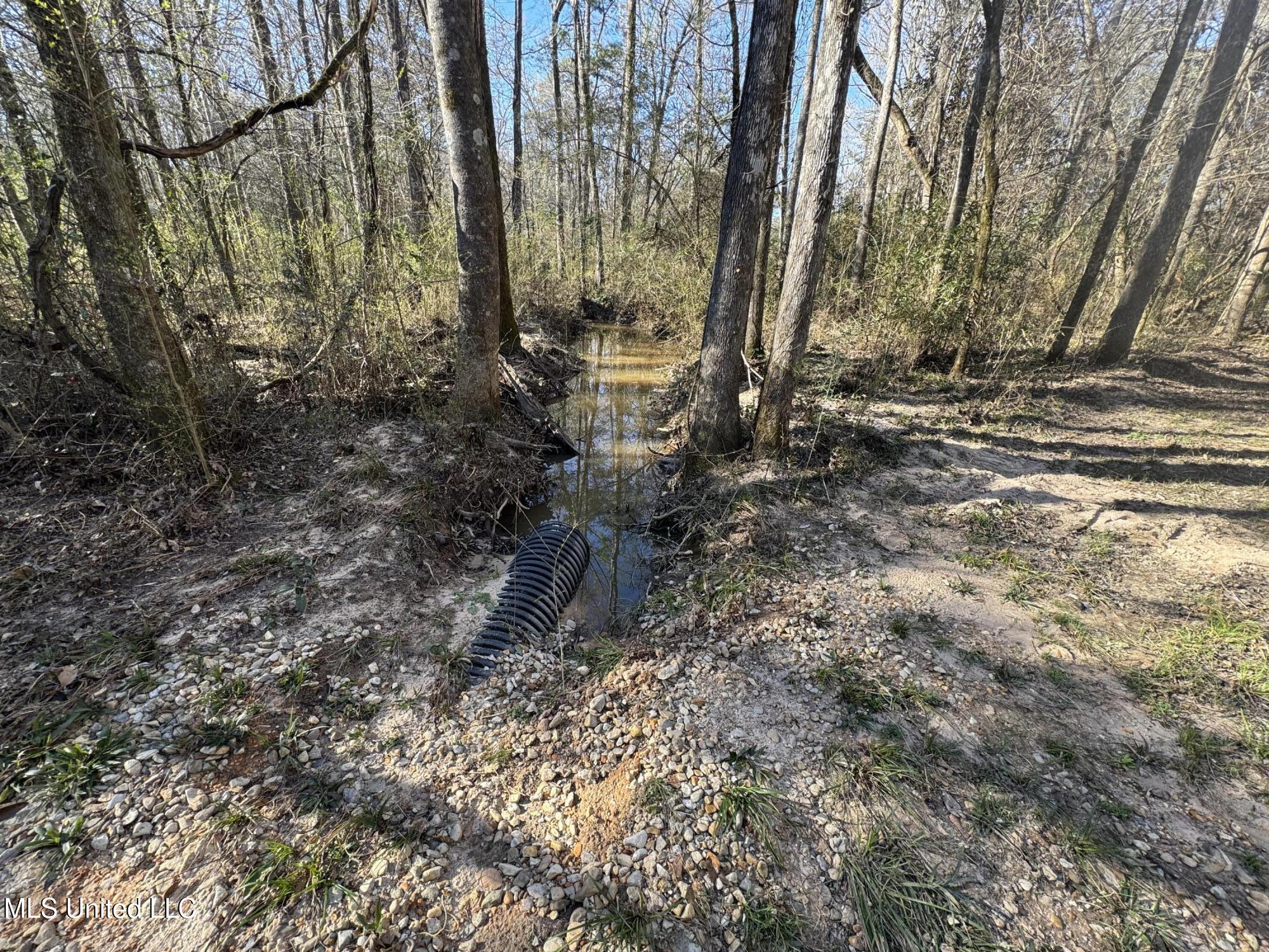 63 Clem Road Mount Olive, MS 39119 - Photo 22 of 56 Photo Feb 17 2025, 3 19 15 PM