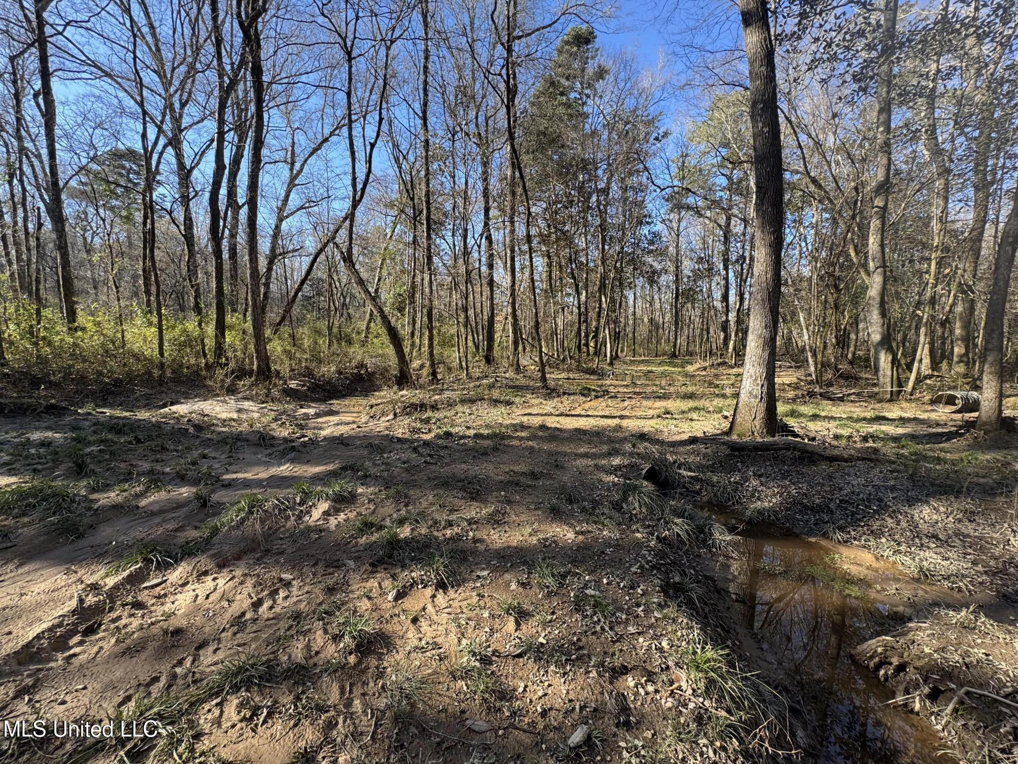 63 Clem Road Mount Olive, MS 39119 - Photo 23 of 56 Photo Feb 17 2025, 3 20 30 PM