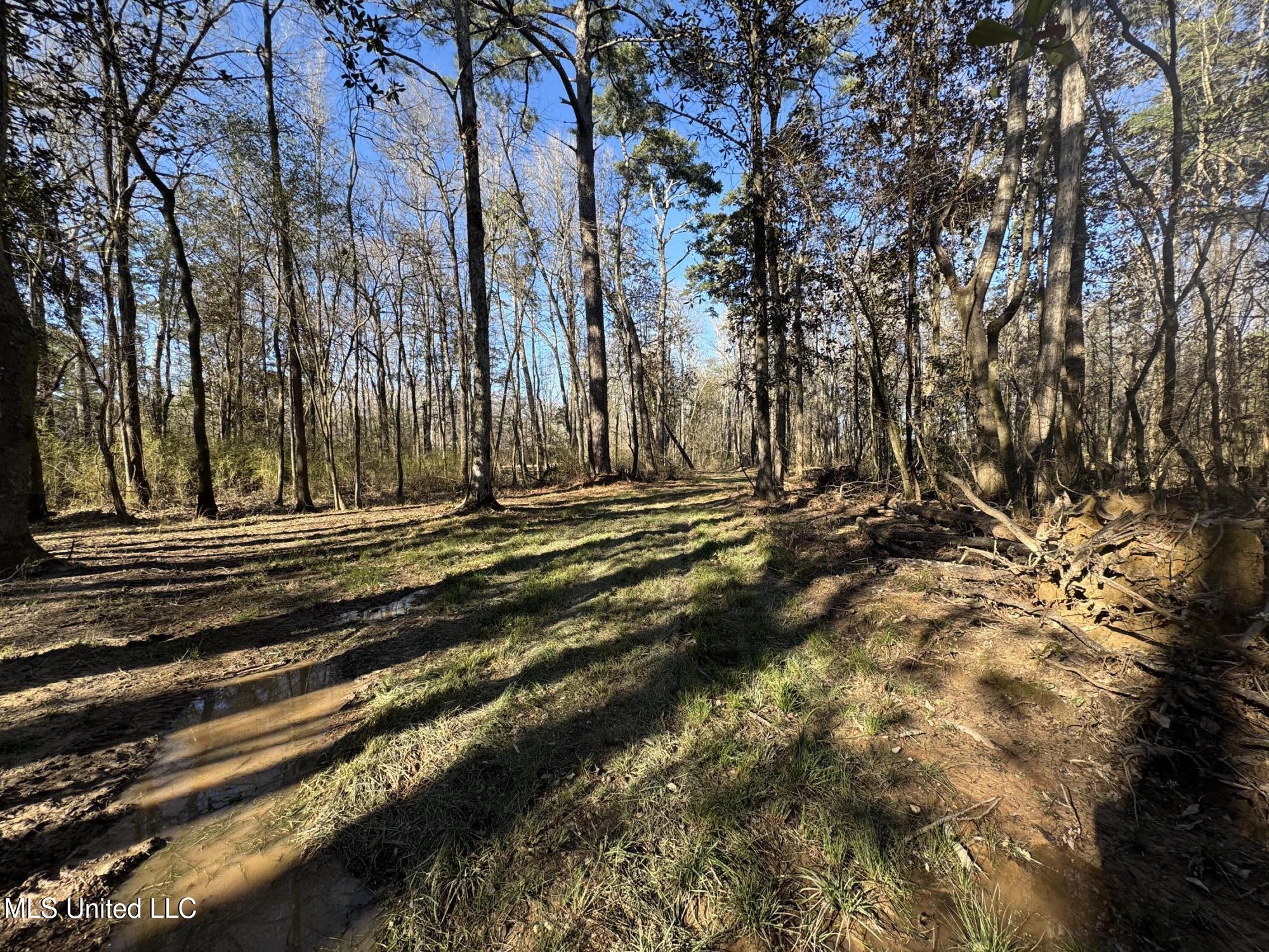 63 Clem Road Mount Olive, MS 39119 - Photo 24 of 56 Photo Feb 17 2025, 3 21 22 PM