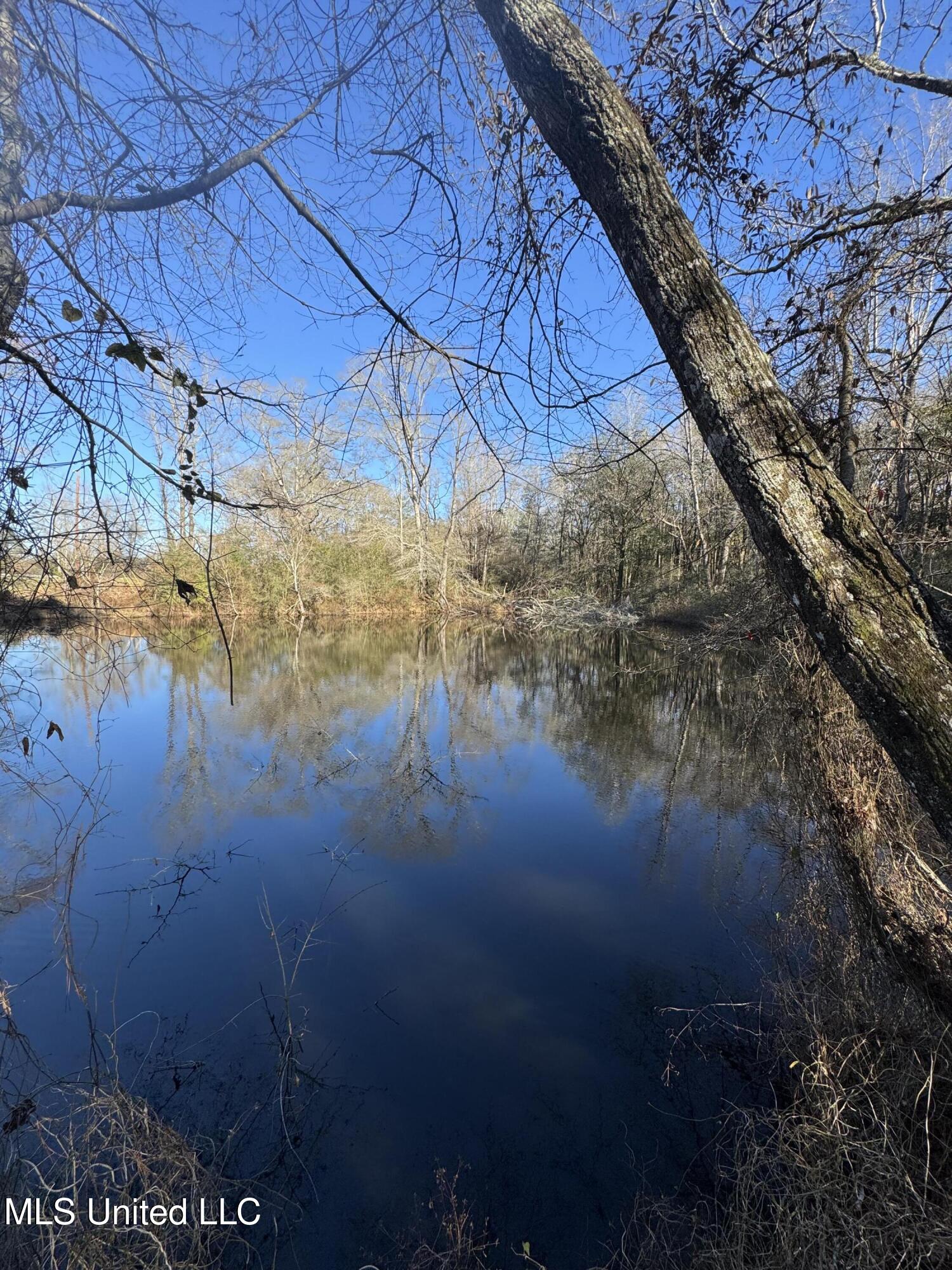 63 Clem Road Mount Olive, MS 39119 - Photo 26 of 56 Photo Feb 17 2025, 3 26 58 PM