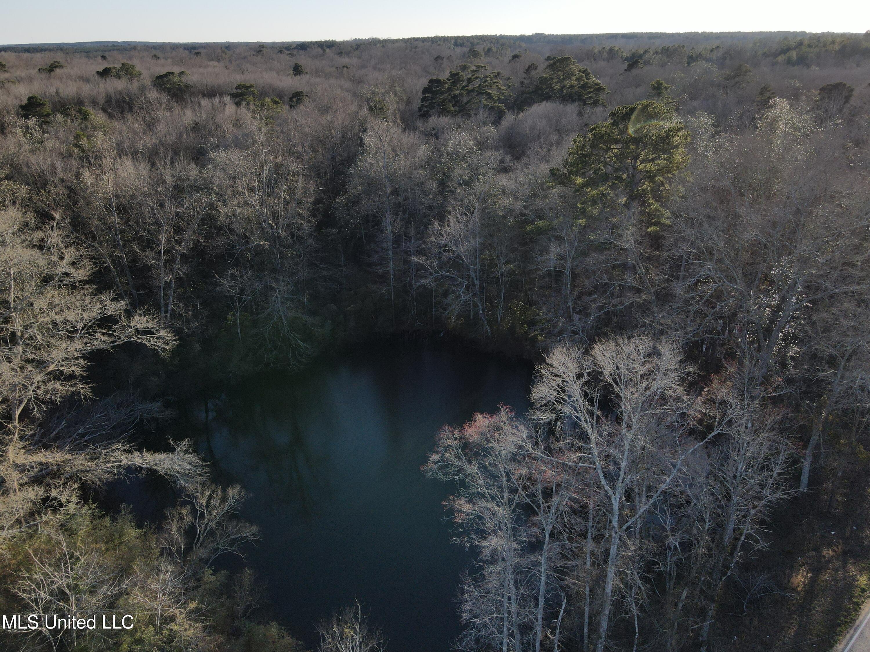 63 Clem Road Mount Olive, MS 39119 - Photo 29 of 56 Photo Feb 20 2025, 4 37 43 PM