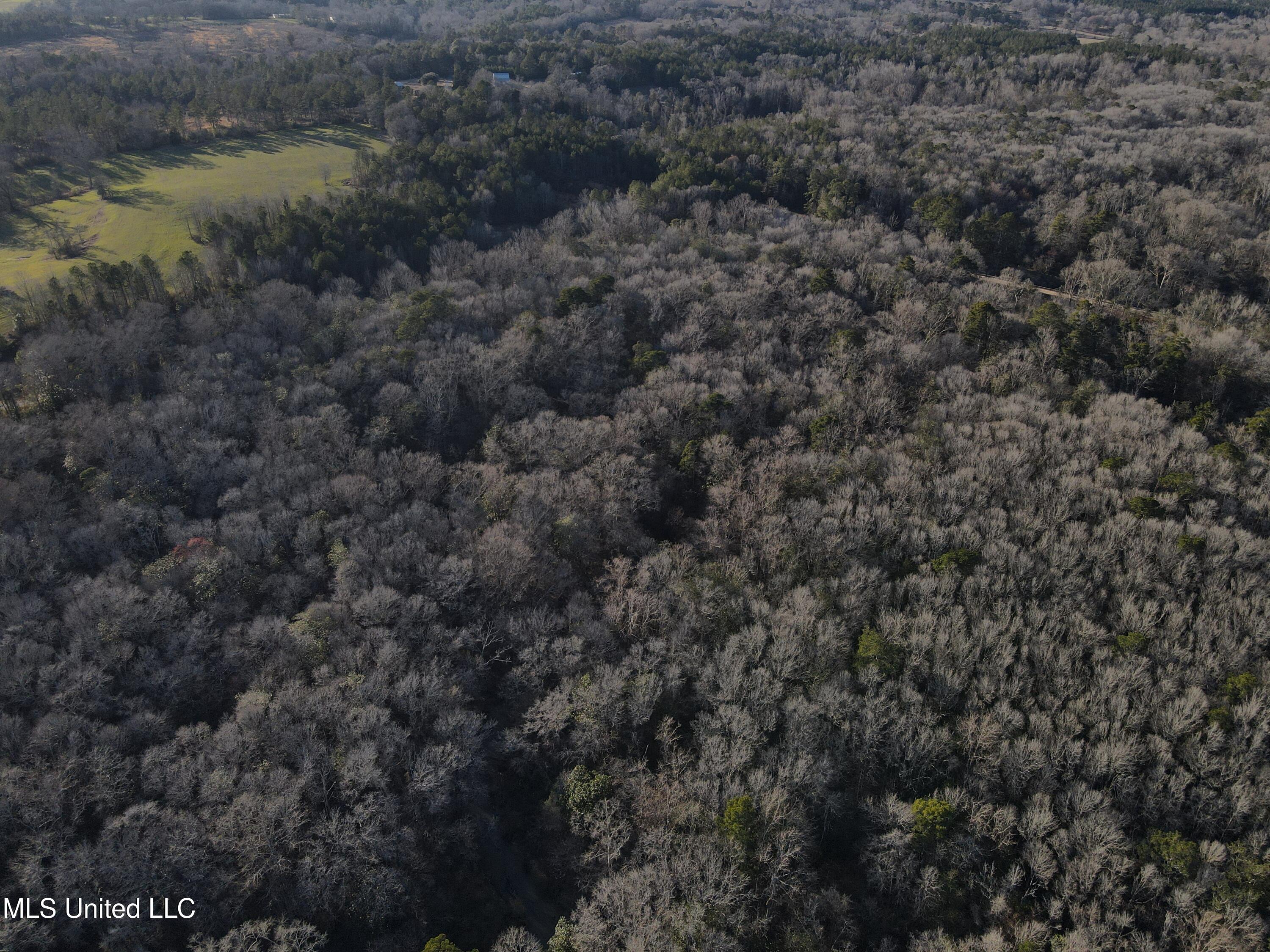 63 Clem Road Mount Olive, MS 39119 - Photo 31 of 56 Photo Feb 20 2025, 4 39 16 PM