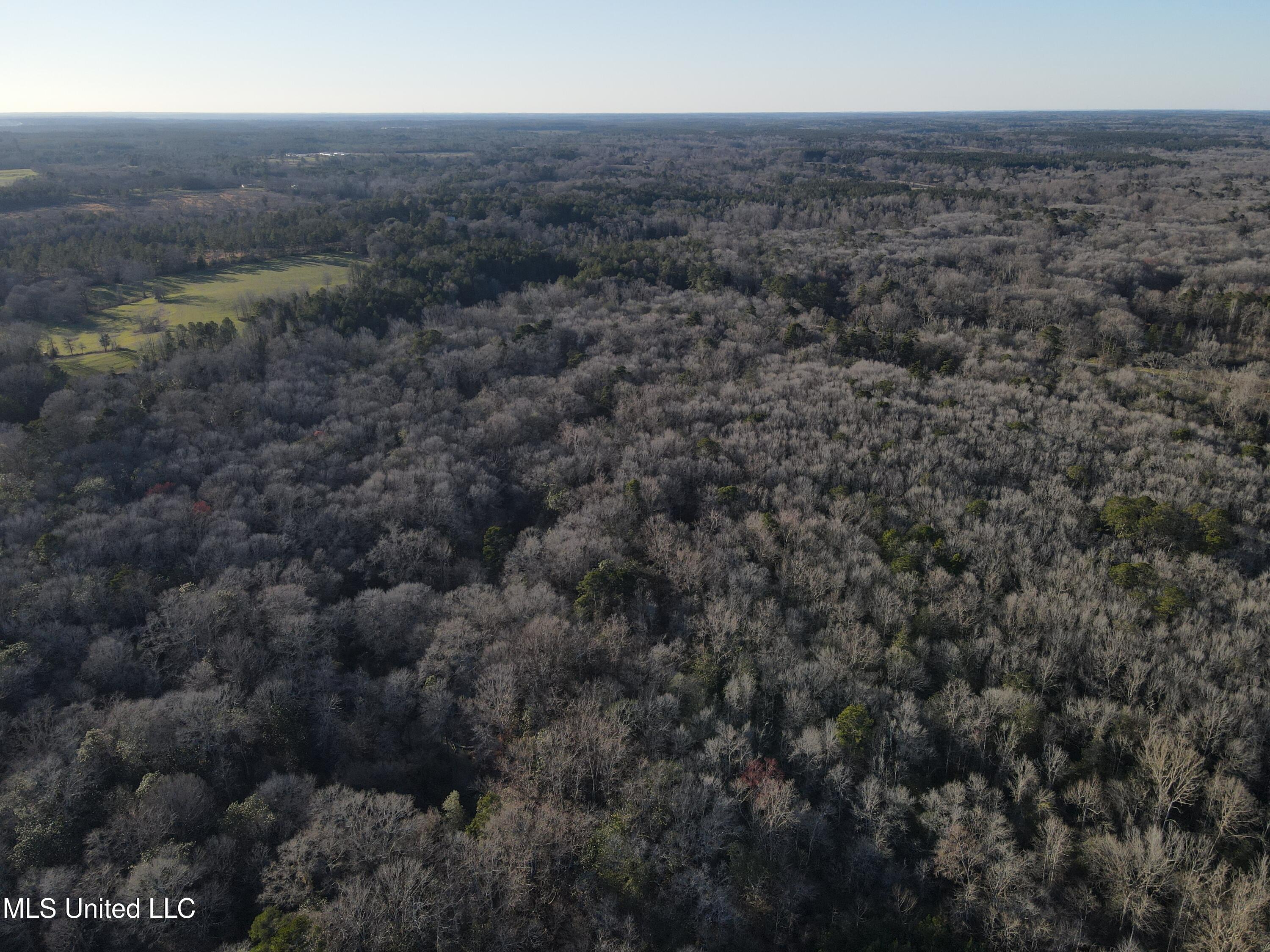 63 Clem Road Mount Olive, MS 39119 - Photo 32 of 56 Photo Feb 20 2025, 4 39 35 PM