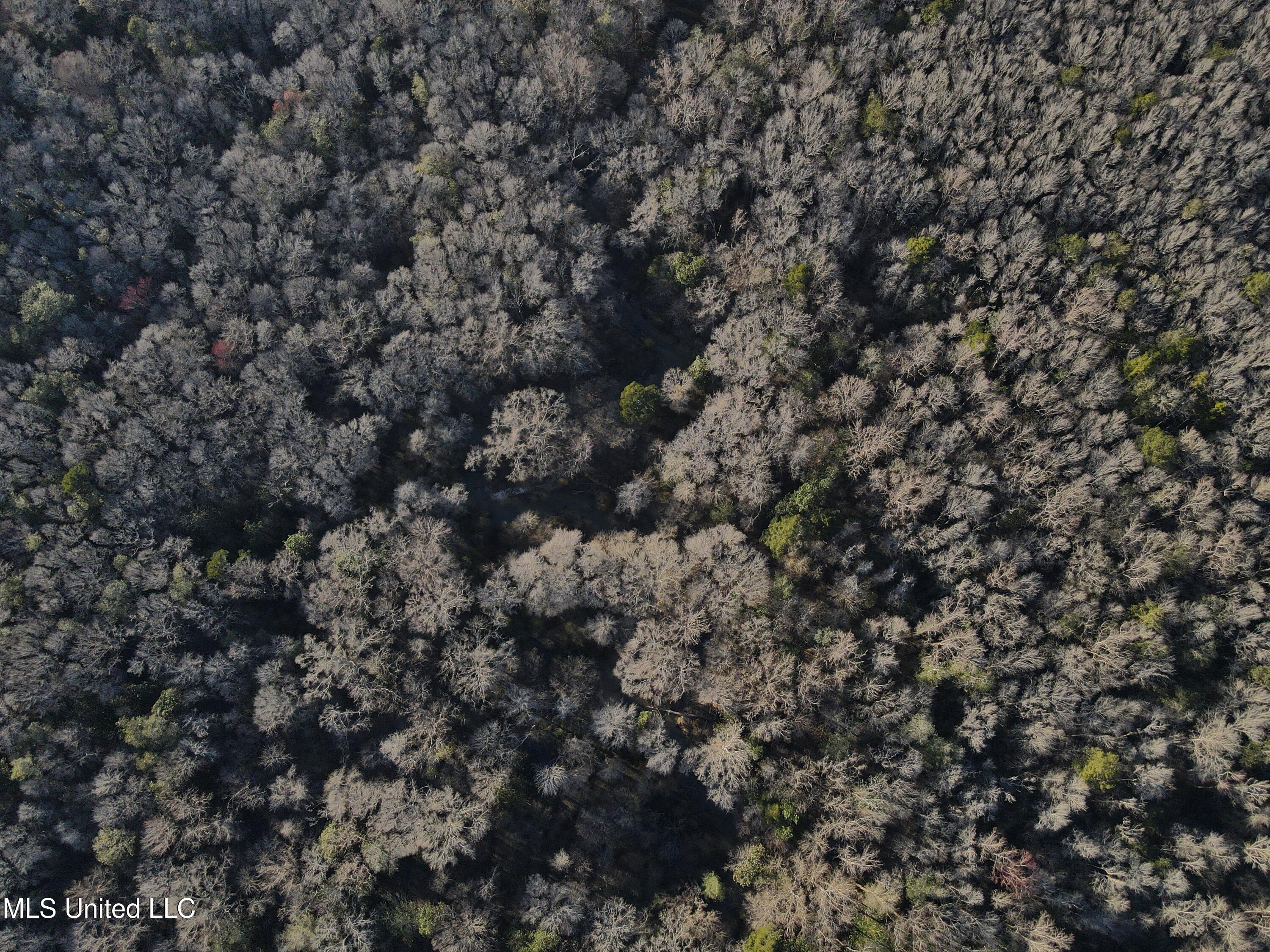63 Clem Road Mount Olive, MS 39119 - Photo 33 of 56 Photo Feb 20 2025, 4 40 02 PM