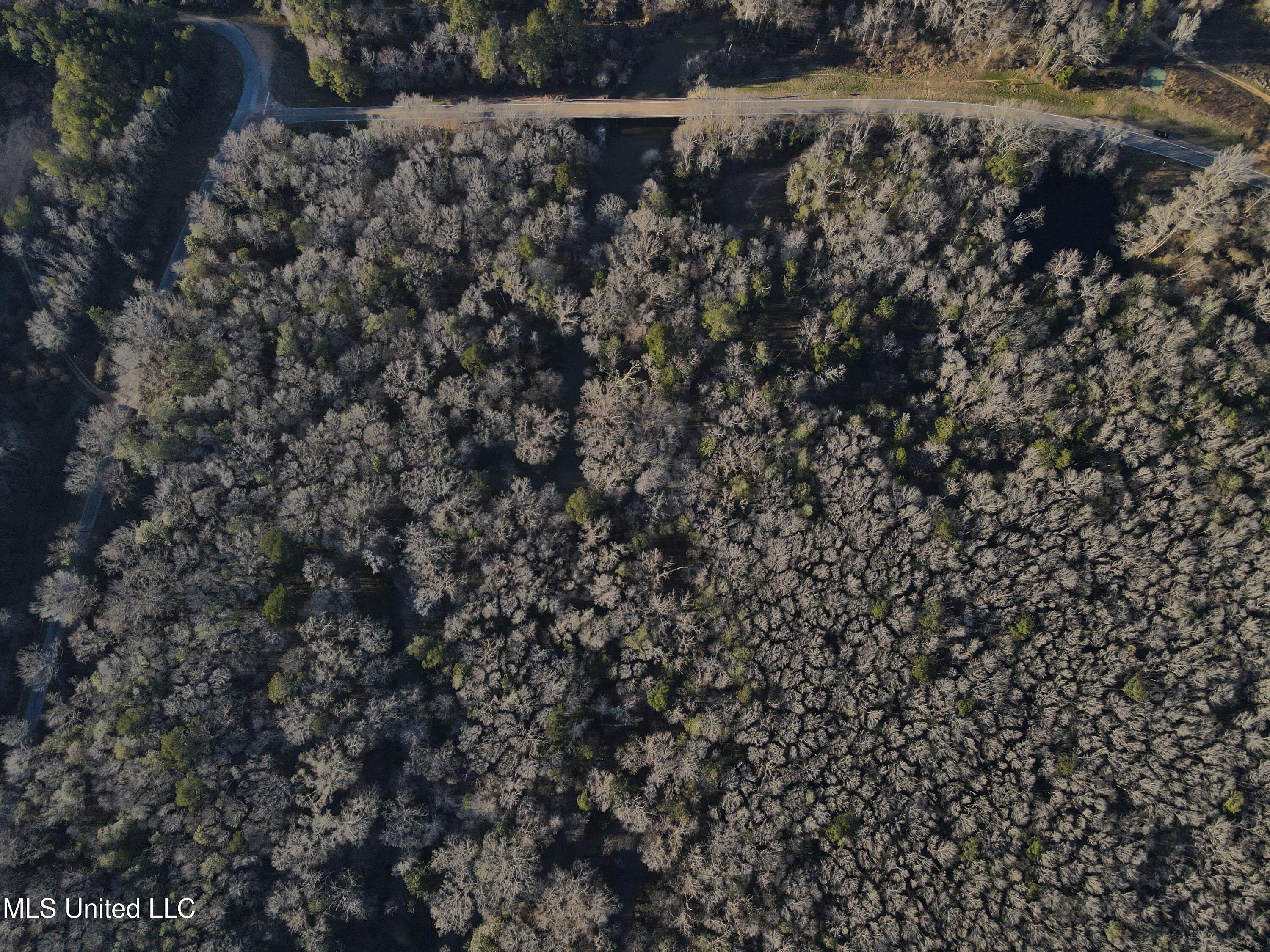 63 Clem Road Mount Olive, MS 39119 - Photo 34 of 56 Photo Feb 20 2025, 4 40 32 PM