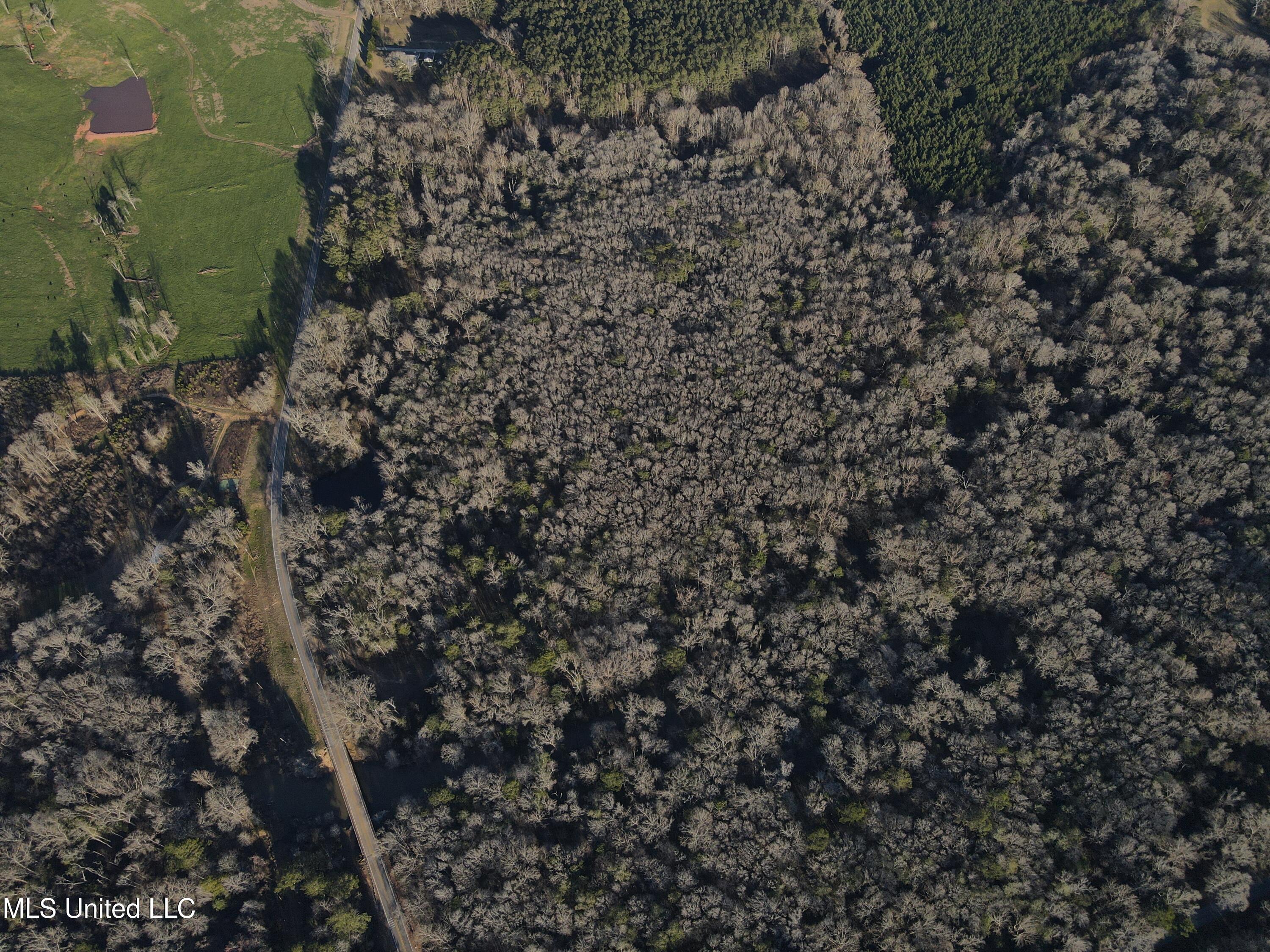 63 Clem Road Mount Olive, MS 39119 - Photo 35 of 56 Photo Feb 20 2025, 4 41 14 PM