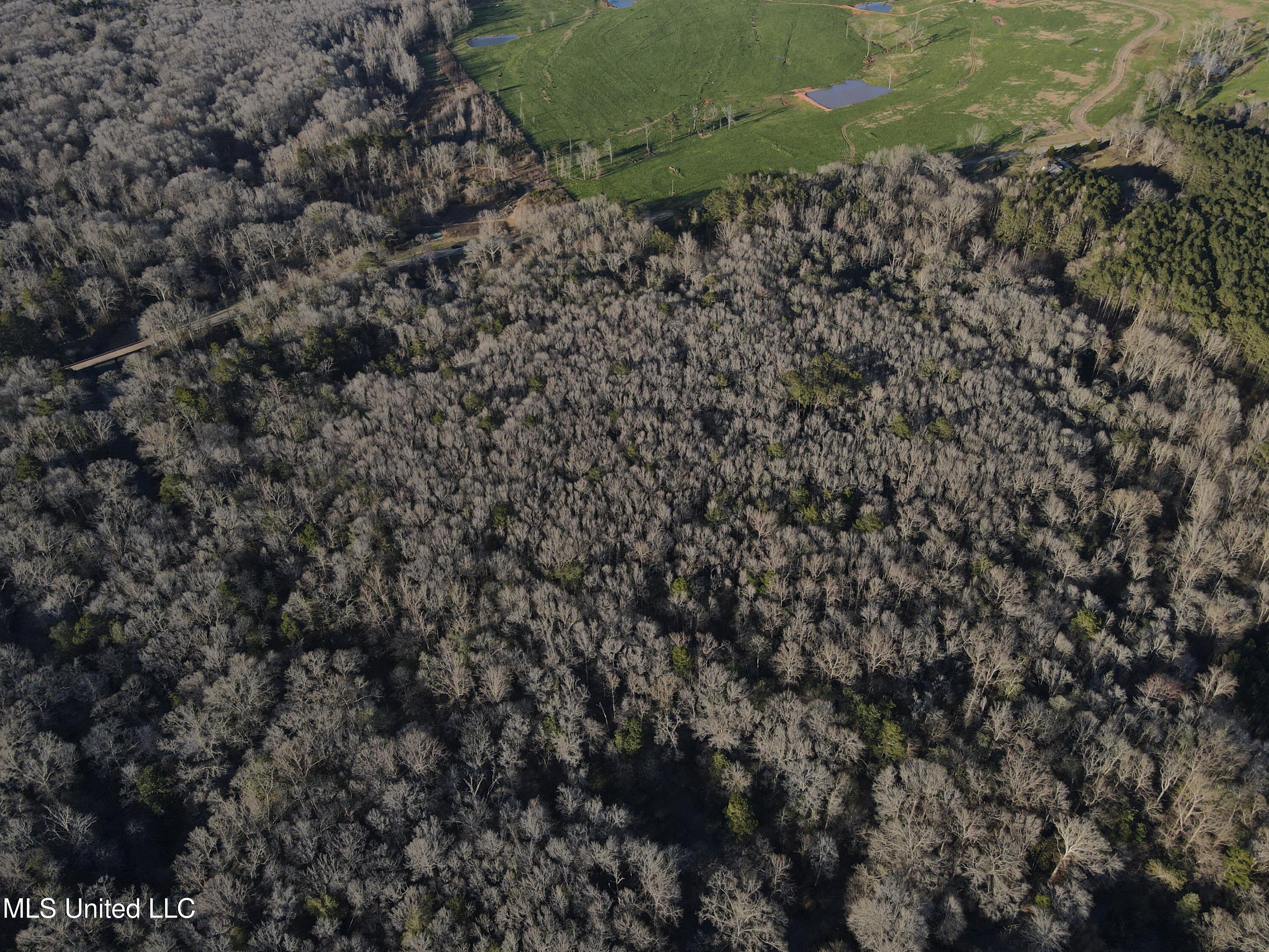 63 Clem Road Mount Olive, MS 39119 - Photo 36 of 56 Photo Feb 20 2025, 4 42 19 PM