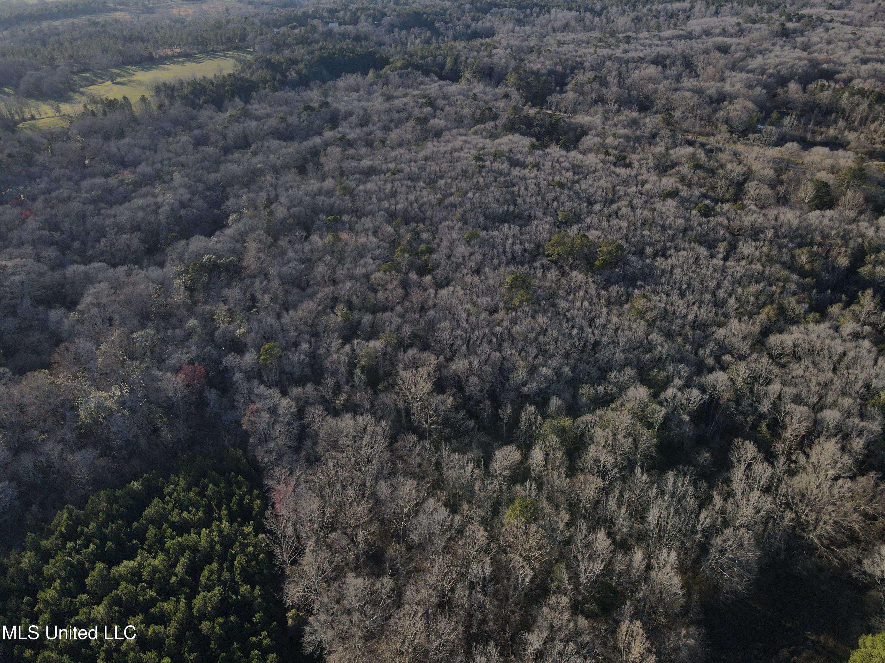 63 Clem Road Mount Olive, MS 39119 - Photo 37 of 56 Photo Feb 20 2025, 4 43 08 PM