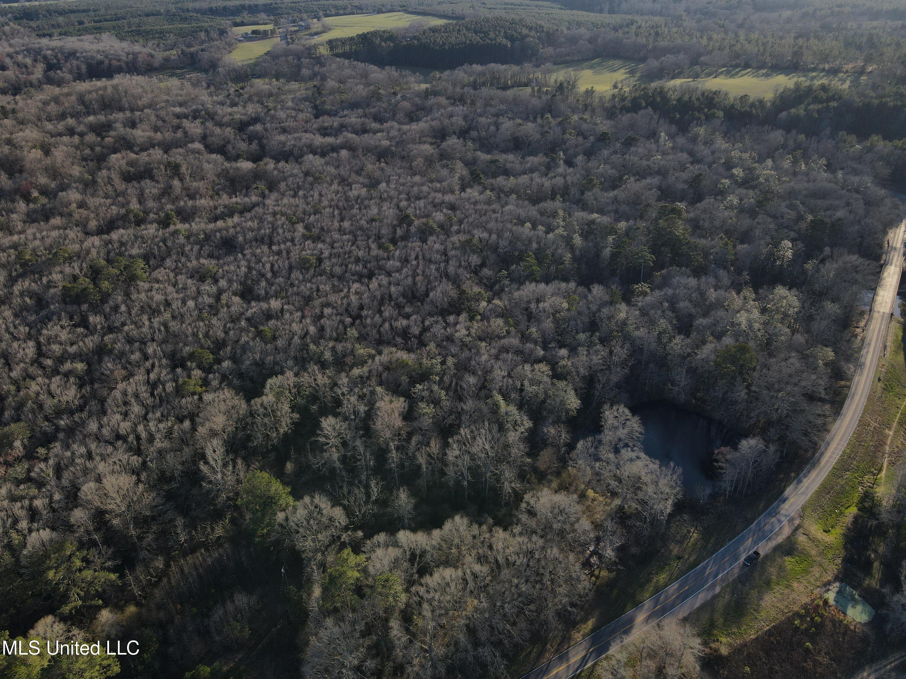 63 Clem Road Mount Olive, MS 39119 - Photo 38 of 56 Photo Feb 20 2025, 4 44 03 PM