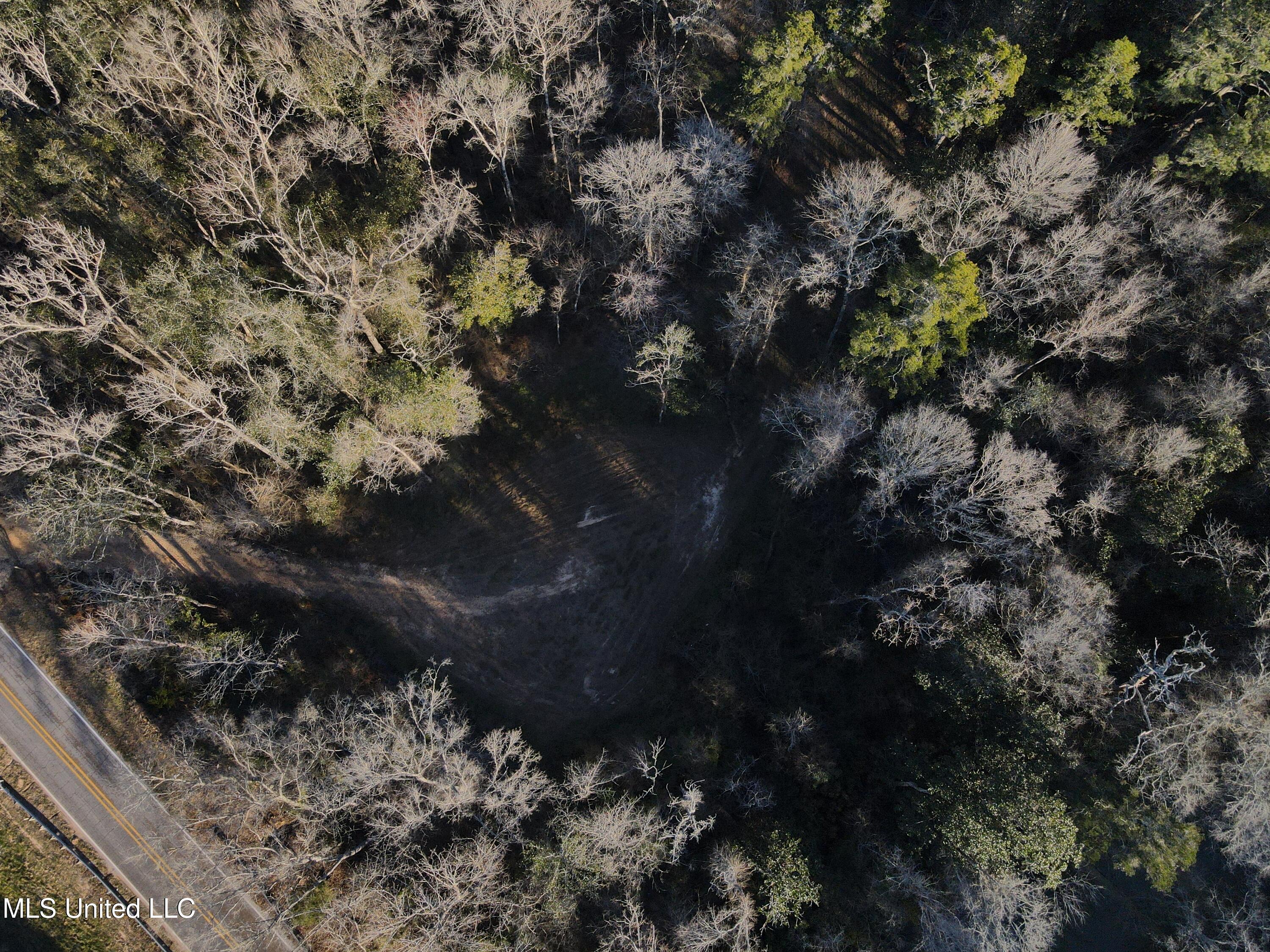 63 Clem Road Mount Olive, MS 39119 - Photo 41 of 56 Photo Feb 20 2025, 4 44 52 PM