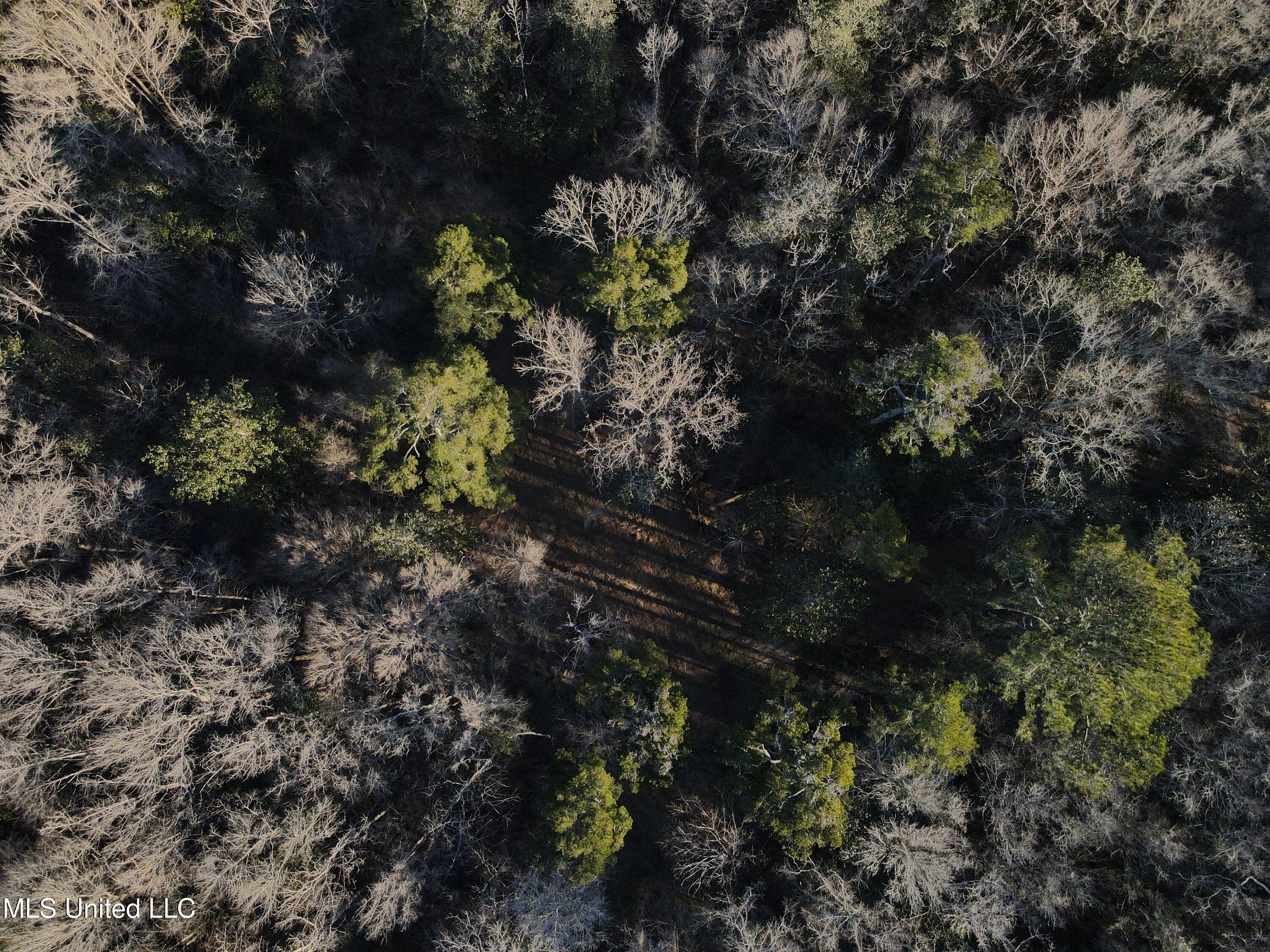 63 Clem Road Mount Olive, MS 39119 - Photo 42 of 56 Photo Feb 20 2025, 4 45 03 PM