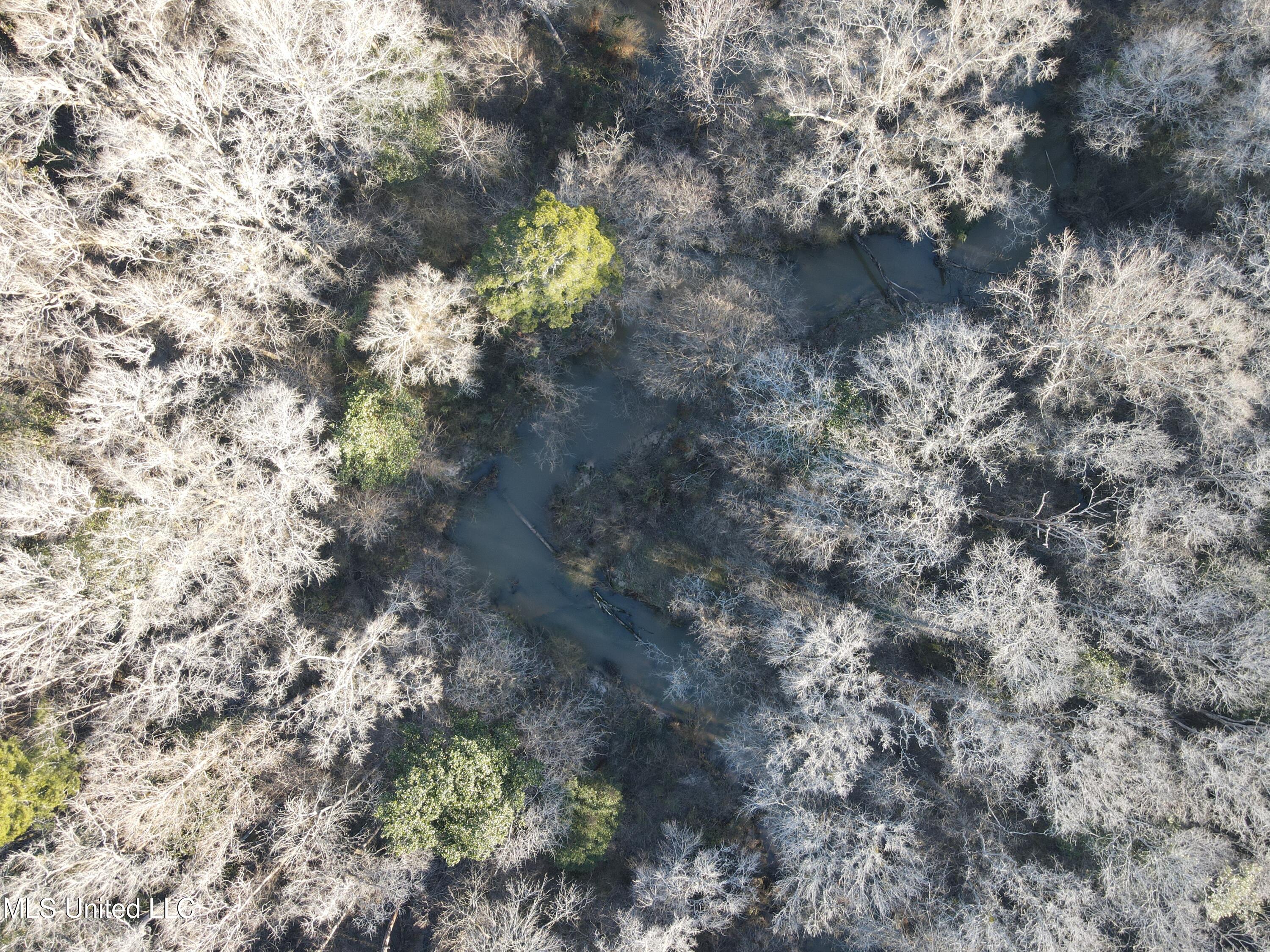 63 Clem Road Mount Olive, MS 39119 - Photo 44 of 56 Photo Feb 20 2025, 4 46 30 PM