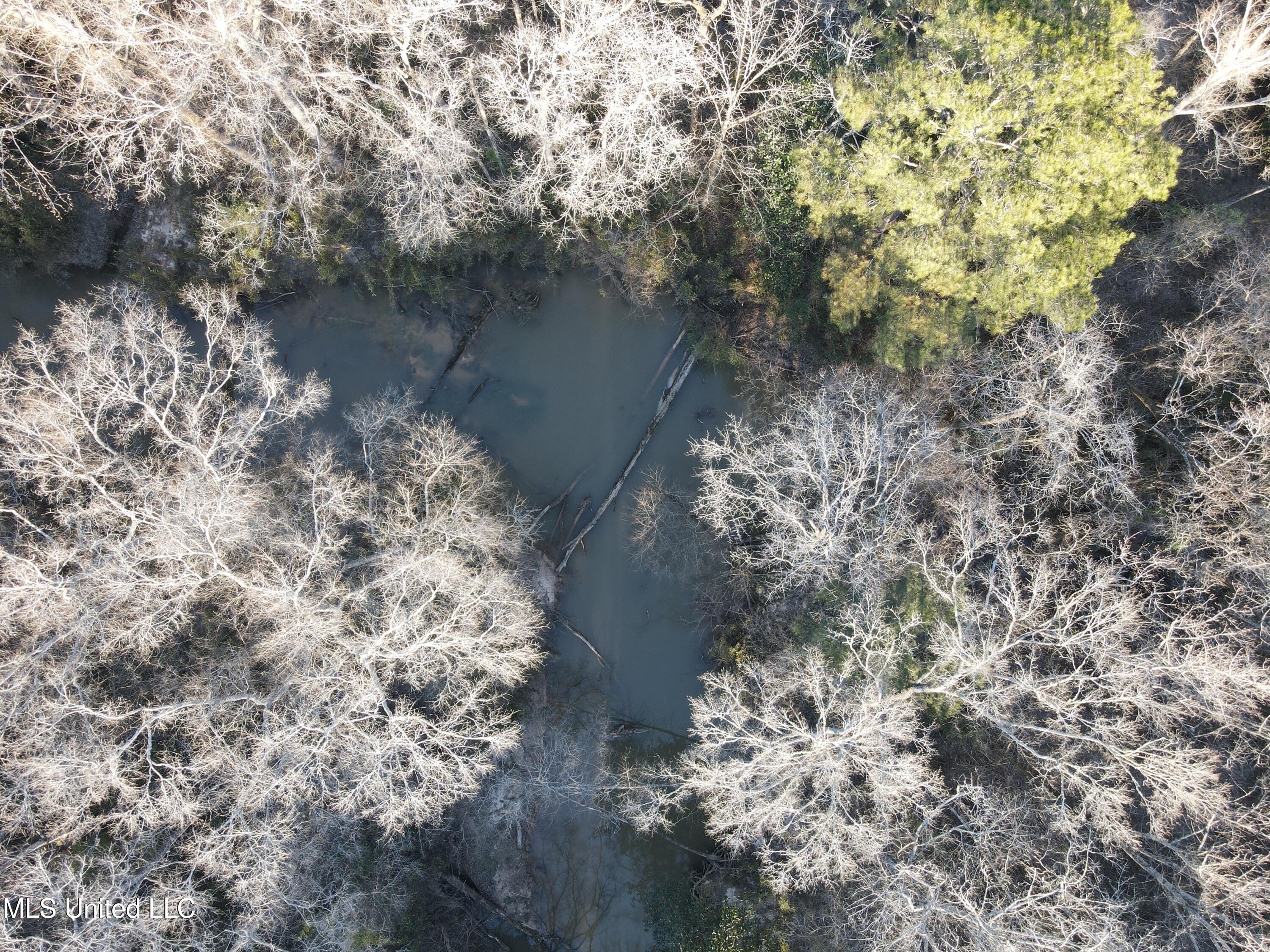 63 Clem Road Mount Olive, MS 39119 - Photo 45 of 56 Photo Feb 20 2025, 4 49 03 PM