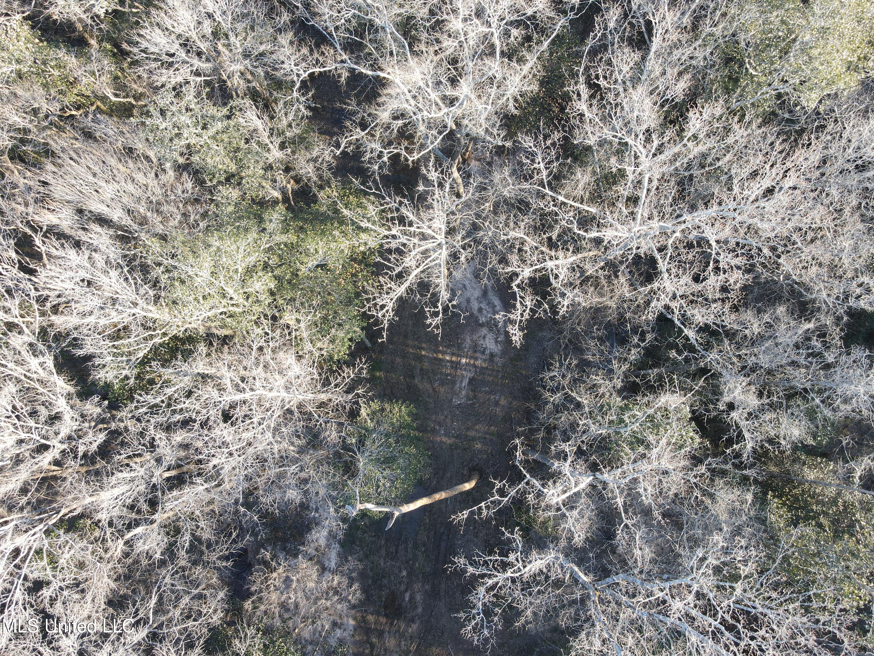 63 Clem Road Mount Olive, MS 39119 - Photo 46 of 56 Photo Feb 20 2025, 4 49 29 PM