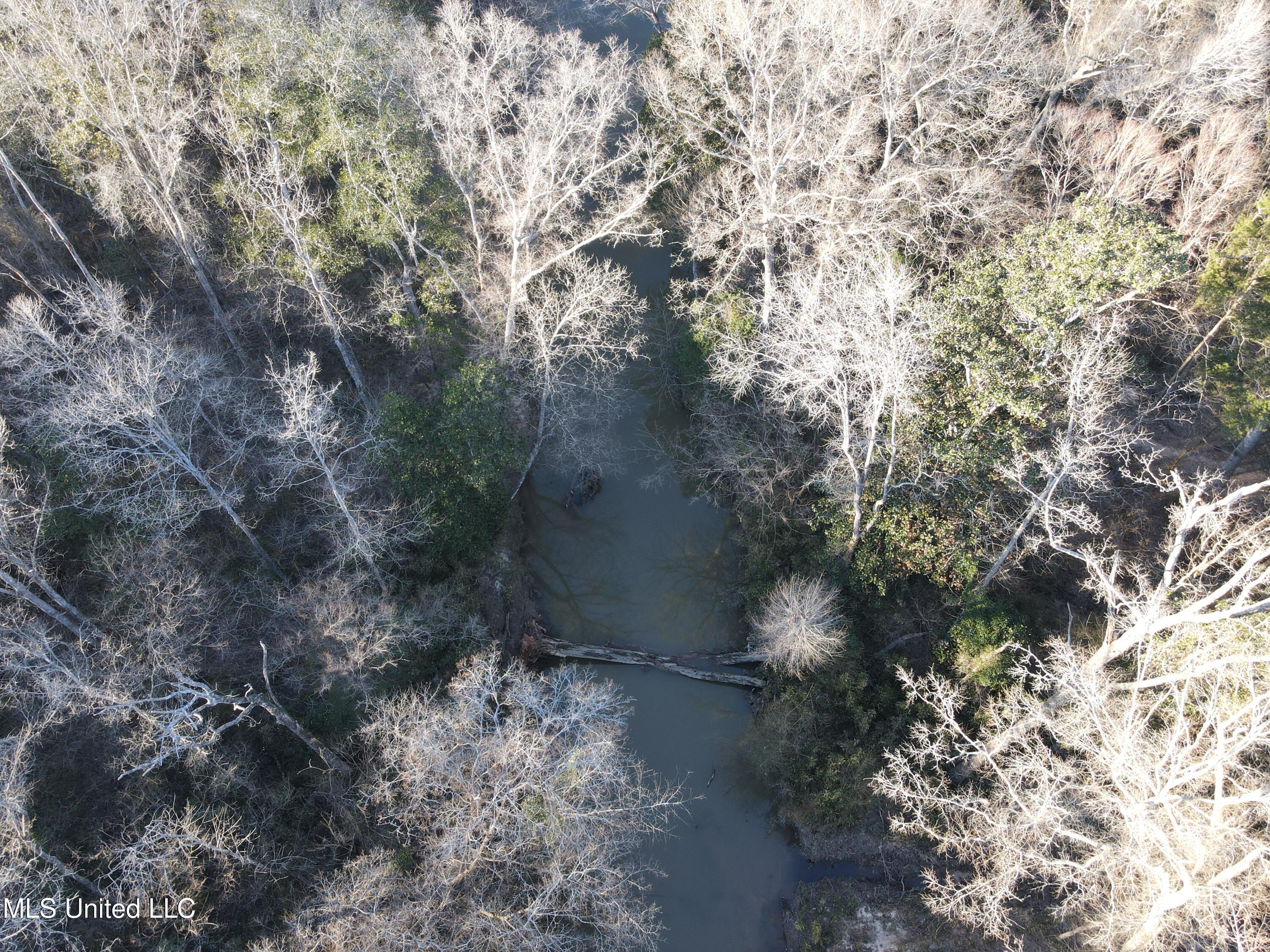 63 Clem Road Mount Olive, MS 39119 - Photo 47 of 56 Photo Feb 20 2025, 4 50 49 PM