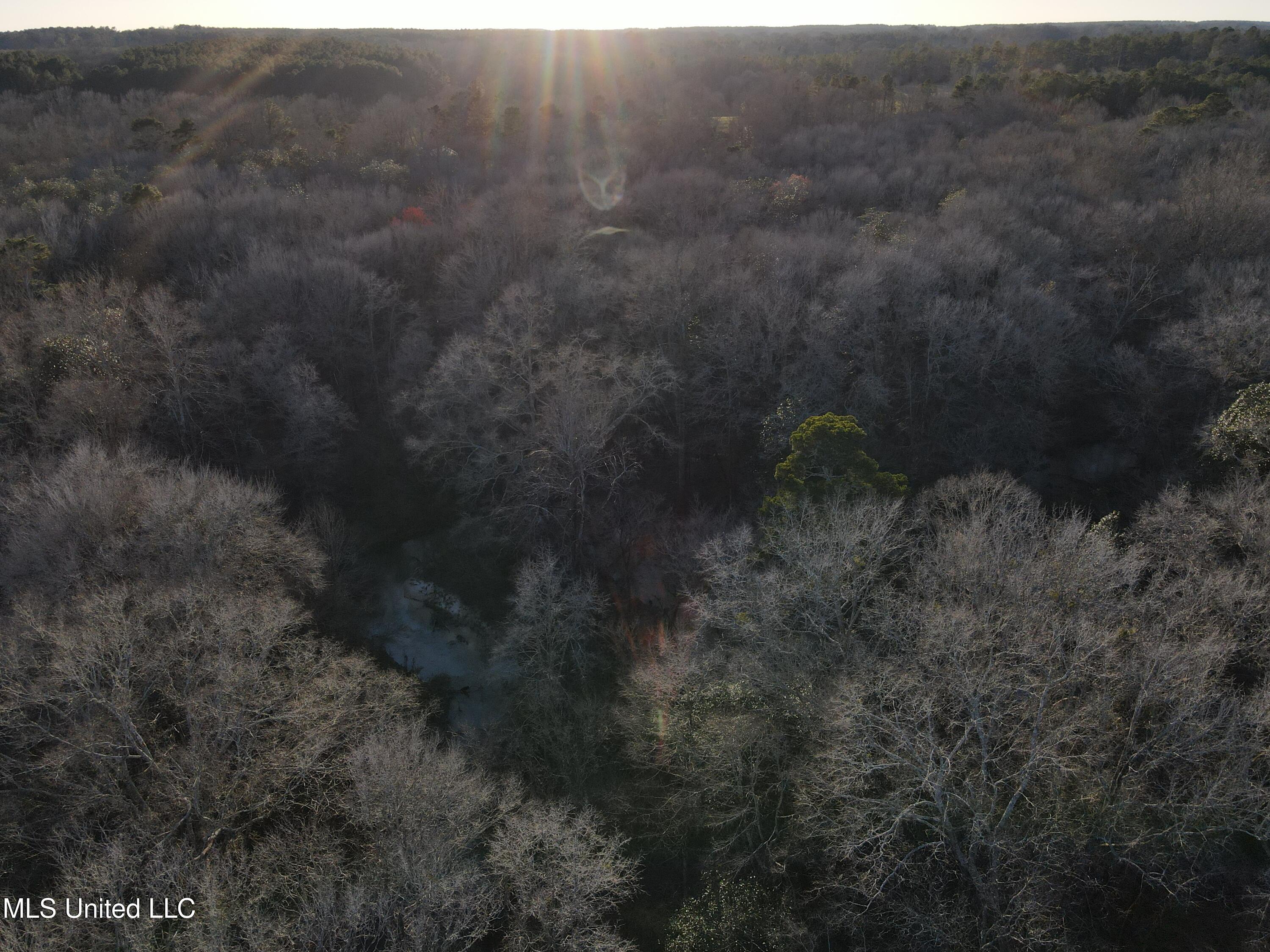63 Clem Road Mount Olive, MS 39119 - Photo 50 of 56 Photo Feb 20 2025, 5 02 07 PM
