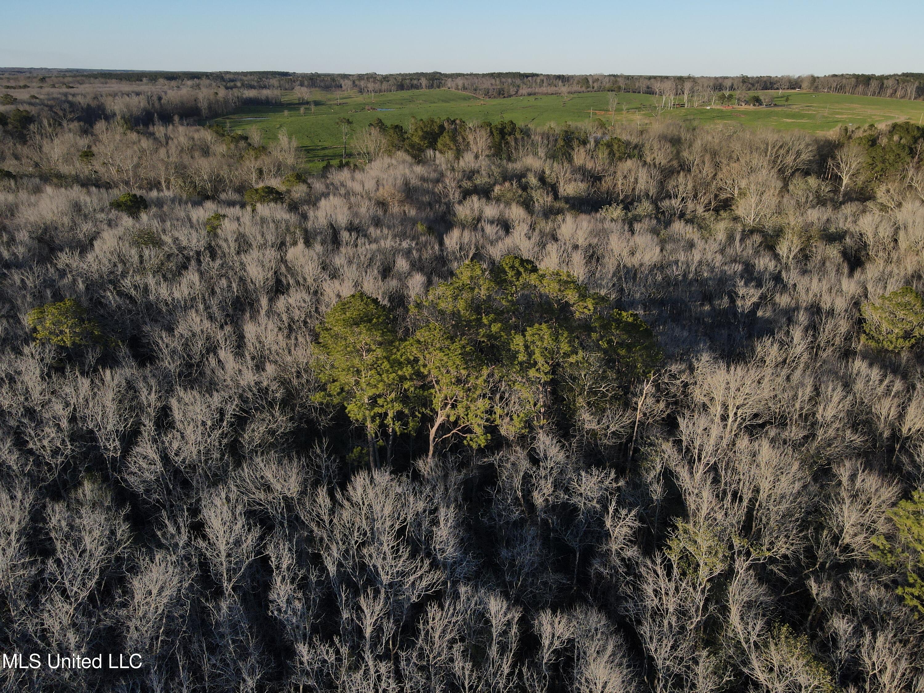 63 Clem Road Mount Olive, MS 39119 - Photo 51 of 56 Photo Feb 20 2025, 5 02 36 PM